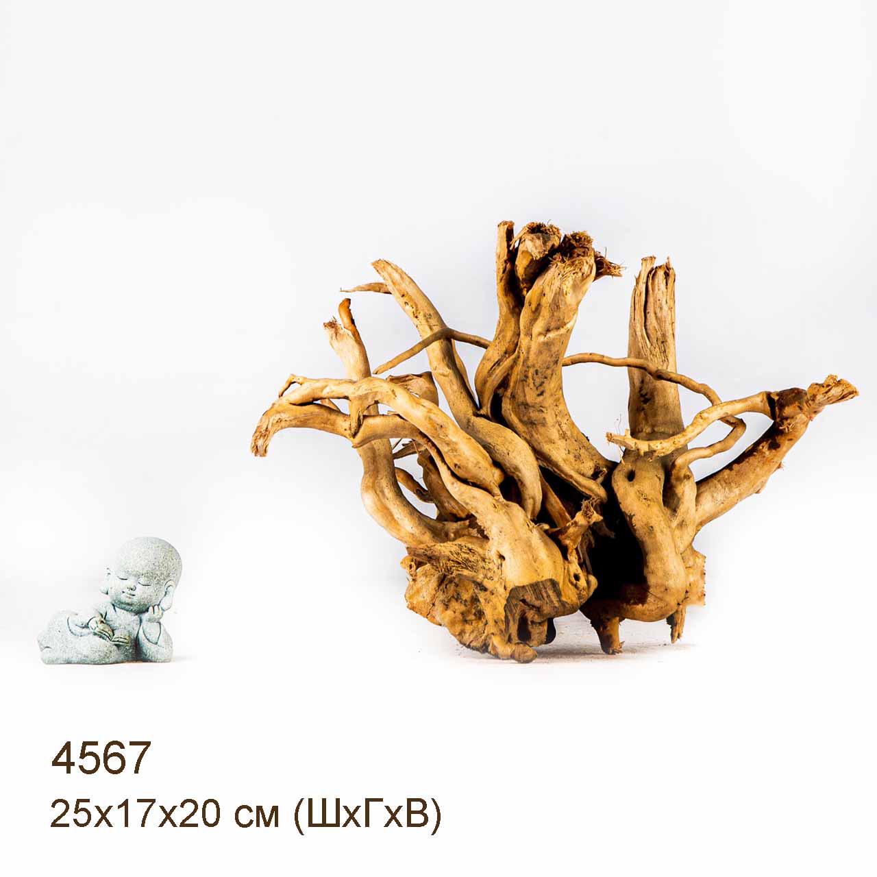 Коряга MASHA BLOOM Корень азалии M - 4567