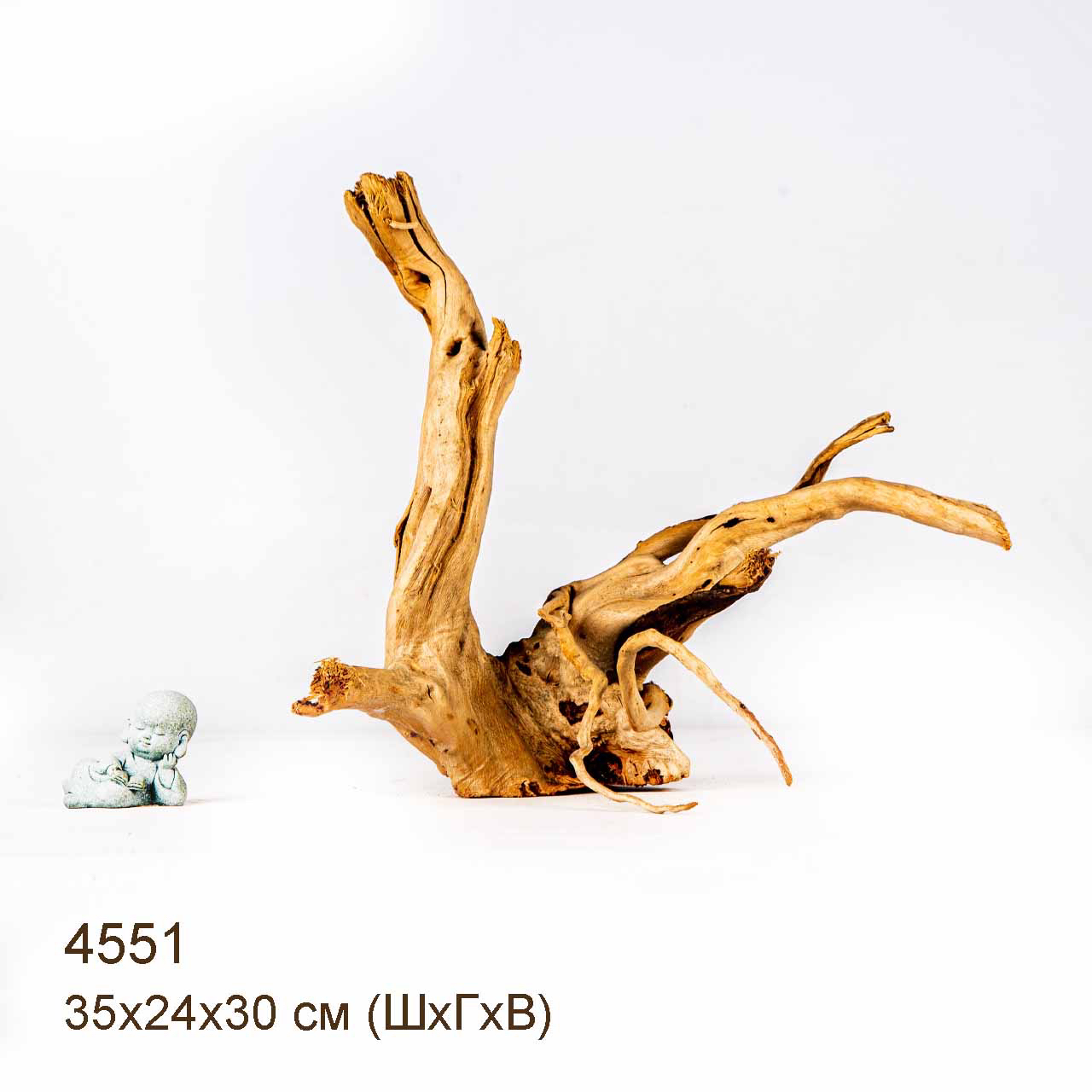 Коряга MASHA BLOOM Корень азалии M - 4551