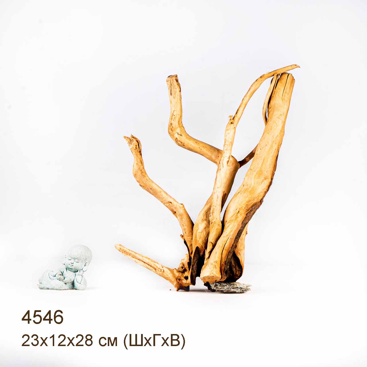 Коряга MASHA BLOOM Корень азалии M - 4546