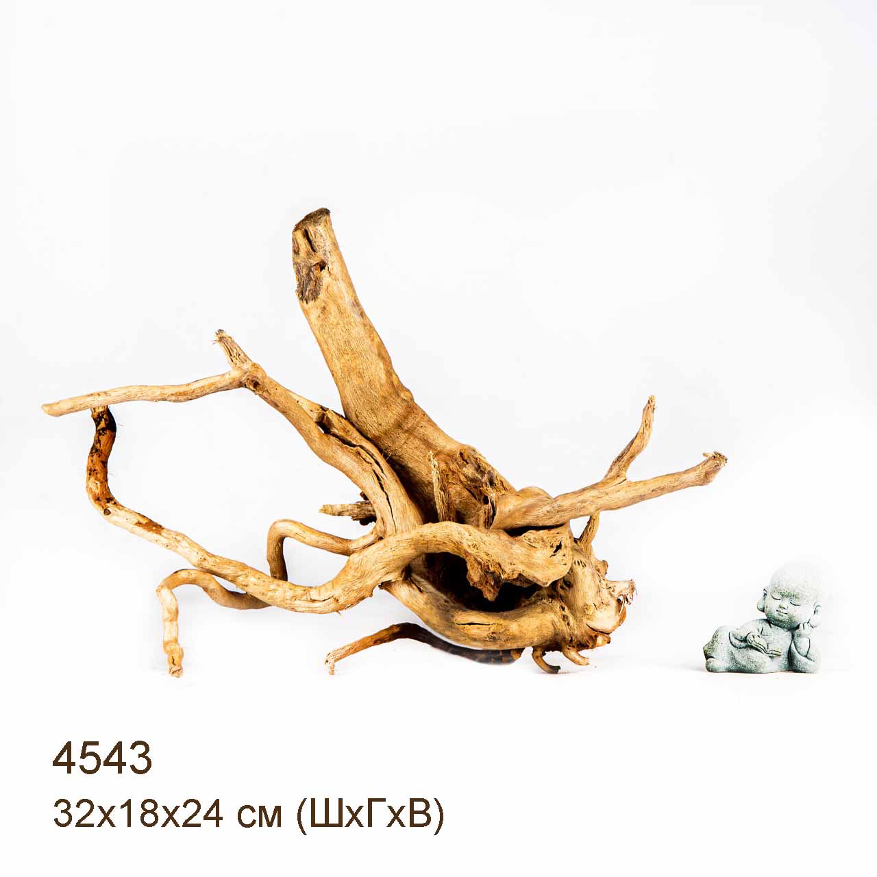 Коряга MASHA BLOOM Корень азалии M - 4543