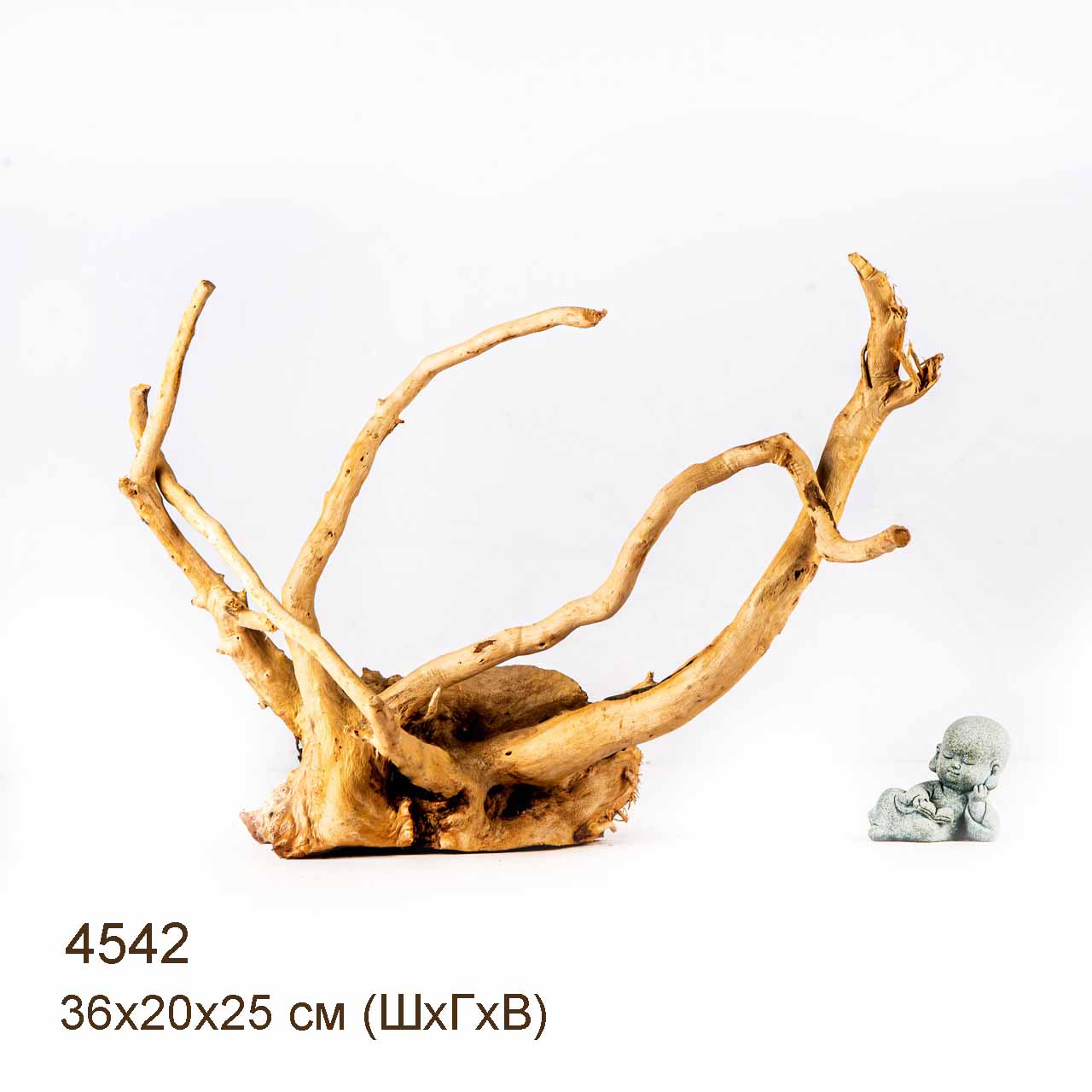 Коряга MASHA BLOOM Корень азалии M - 4542