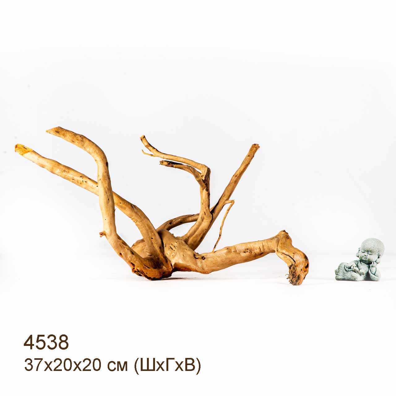 Коряга MASHA BLOOM Корень азалии M - 4538