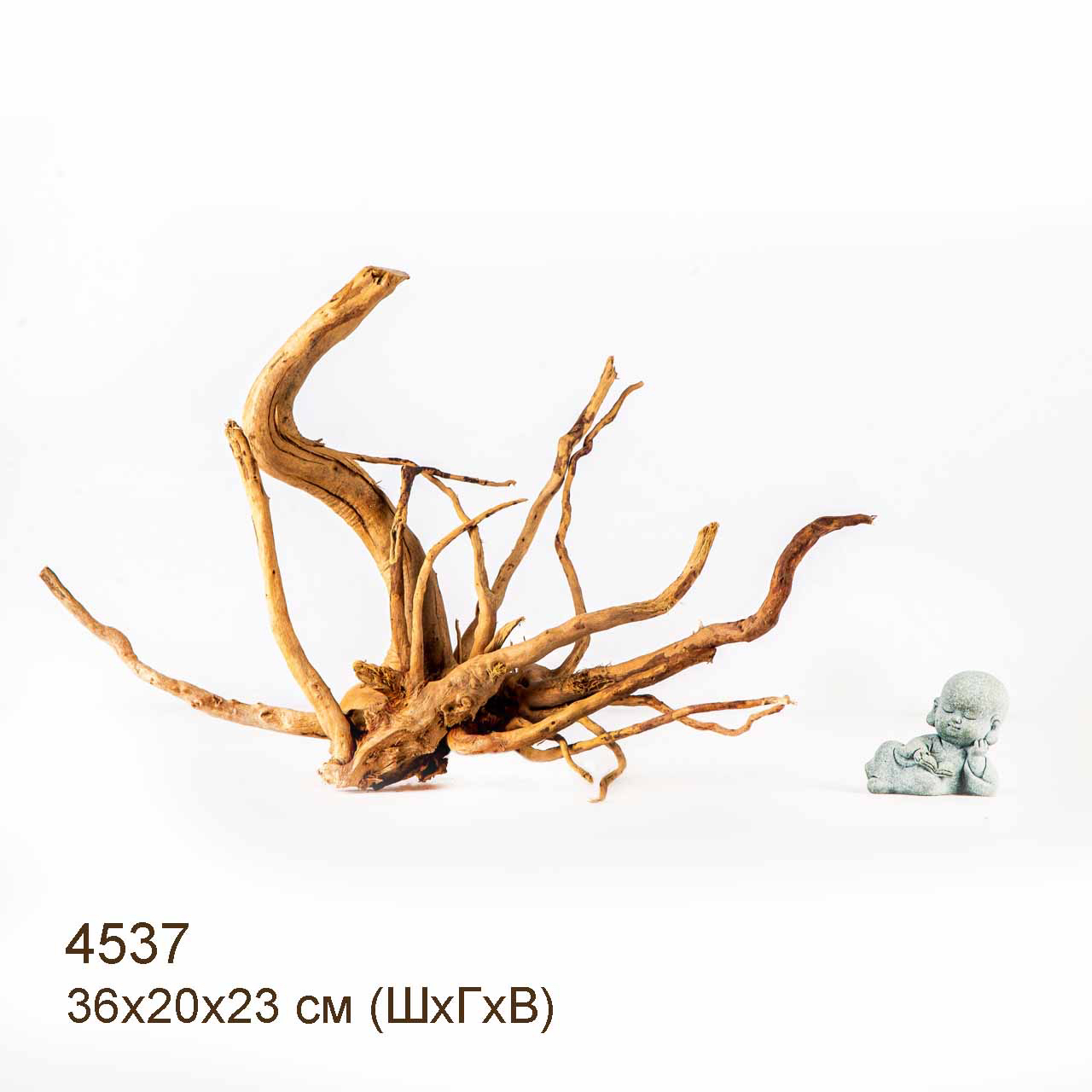 Коряга MASHA BLOOM Корень азалии M - 4537