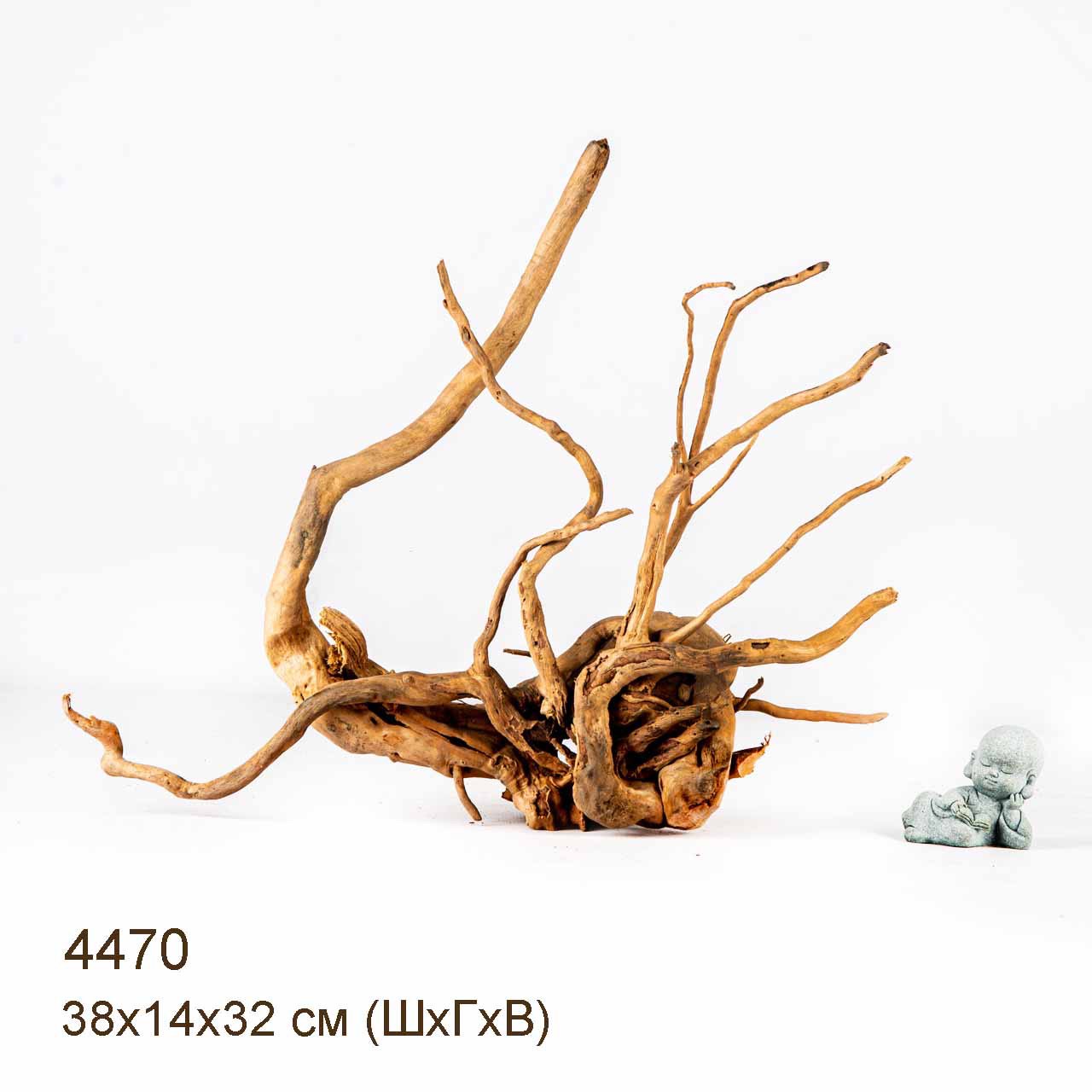 Коряга MASHA BLOOM Корень азалии L - 4470