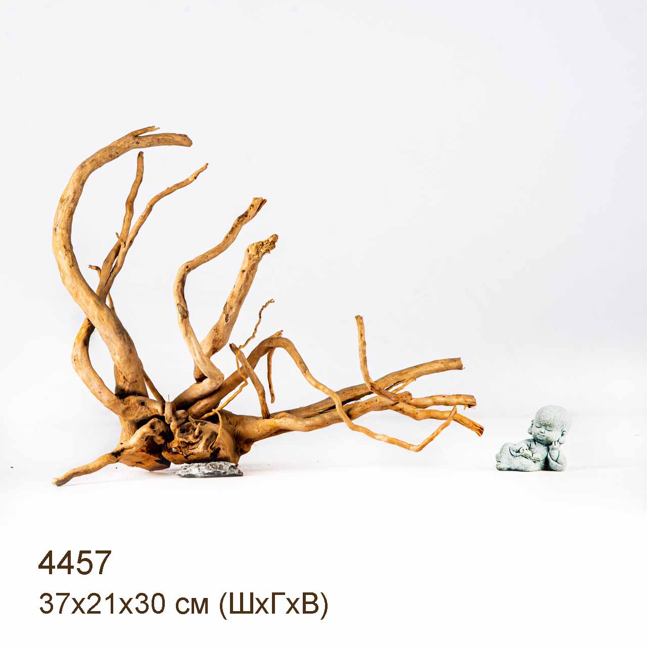 Коряга MASHA BLOOM Корень азалии L - 4457