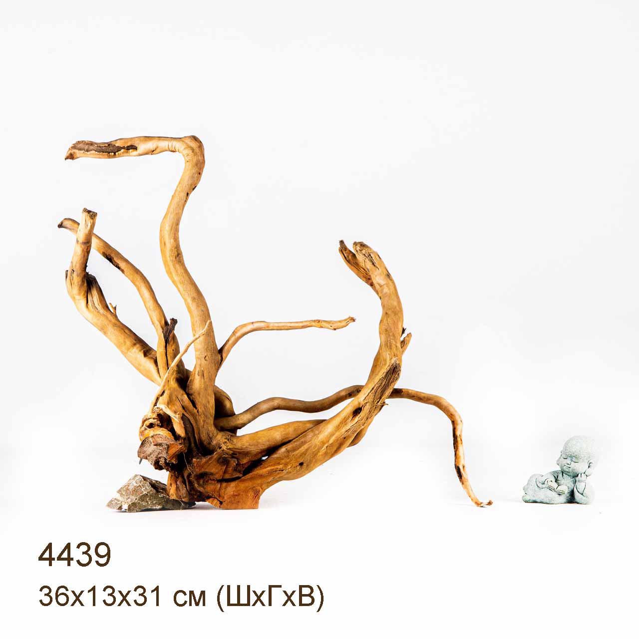Коряга MASHA BLOOM Корень азалии L - 4439