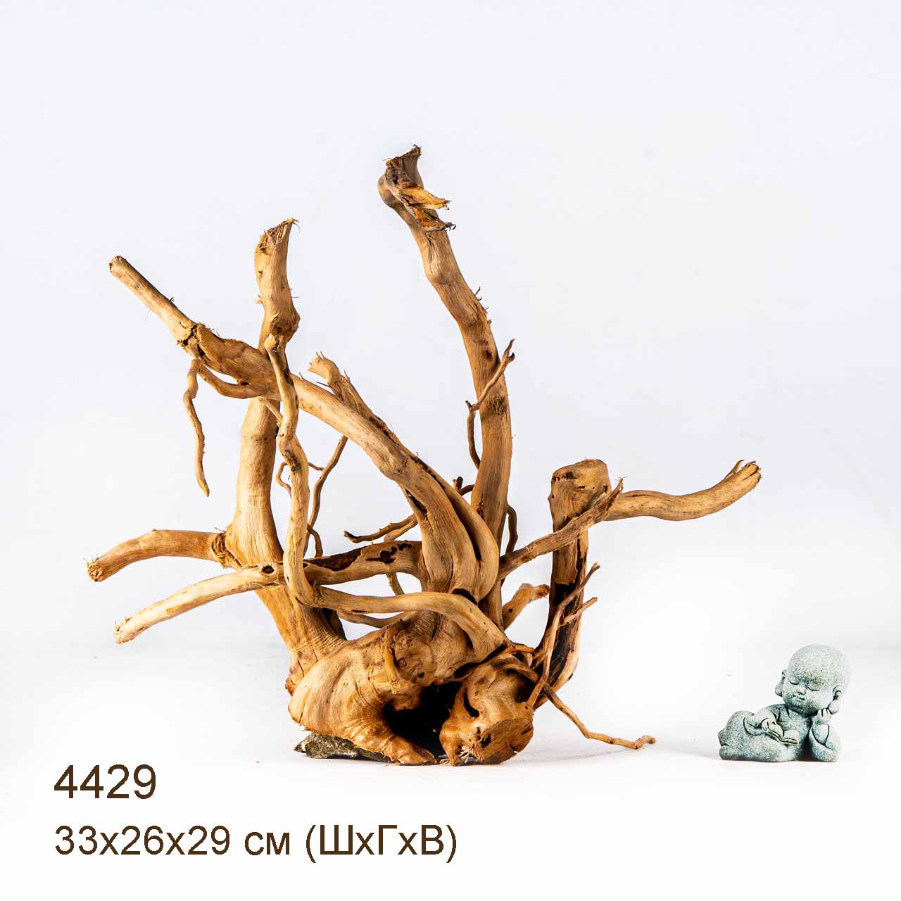 Коряга MASHA BLOOM Корень азалии L - 4429