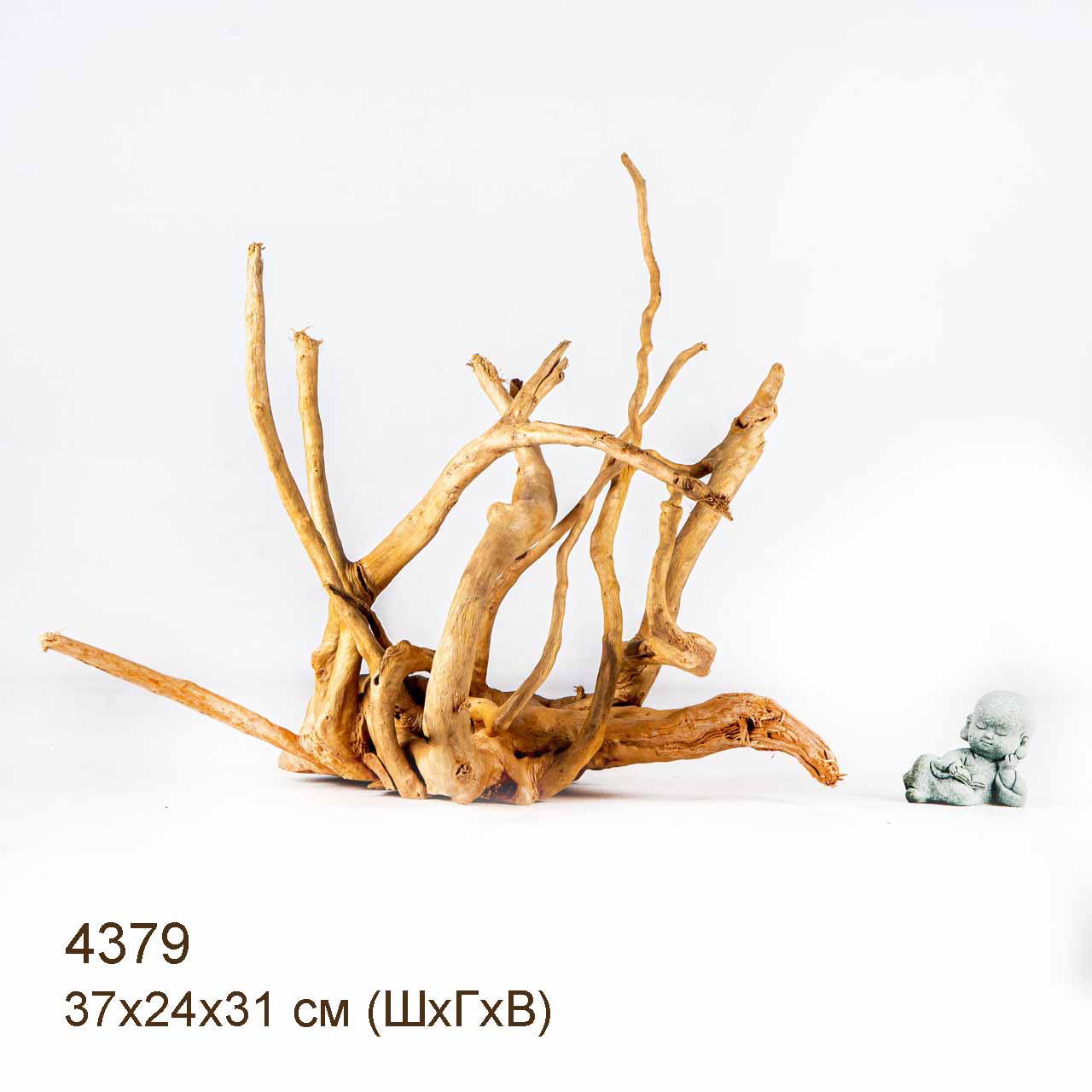 Коряга MASHA BLOOM Корень азалии L - 4379