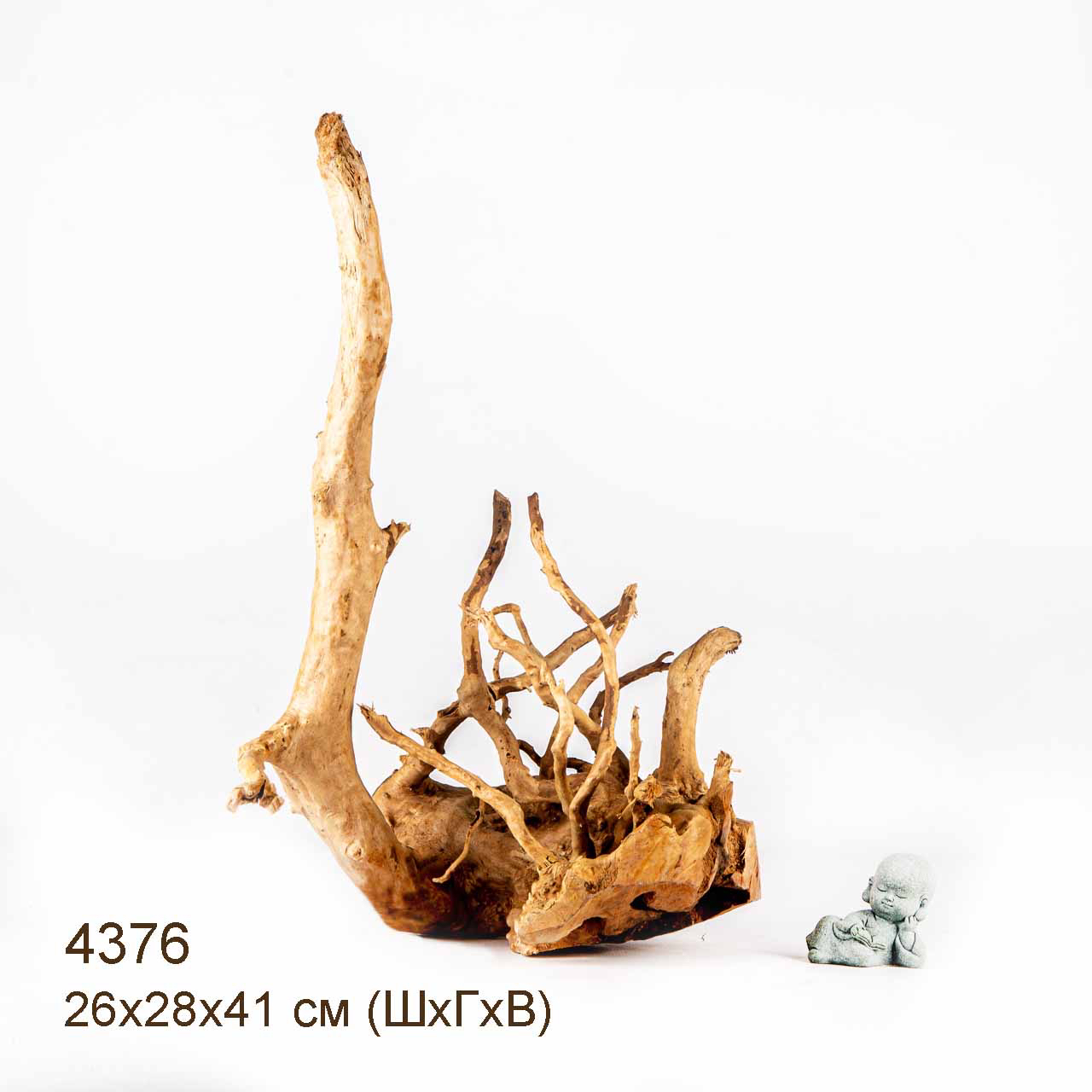 Коряга MASHA BLOOM Корень азалии L - 4376