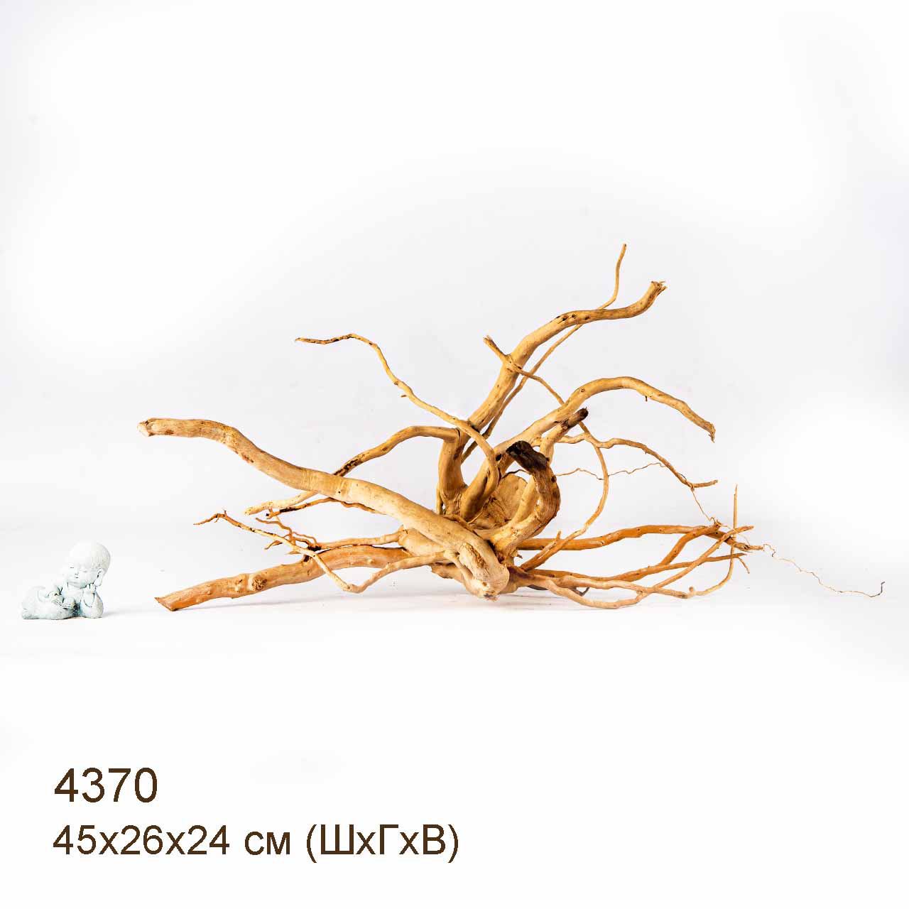 Коряга MASHA BLOOM Корень азалии L - 4370