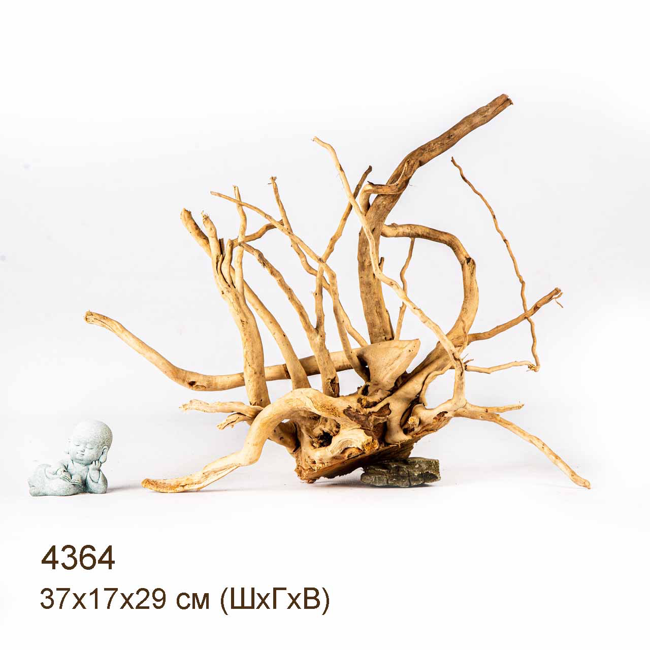 Коряга MASHA BLOOM Корень азалии L - 4364