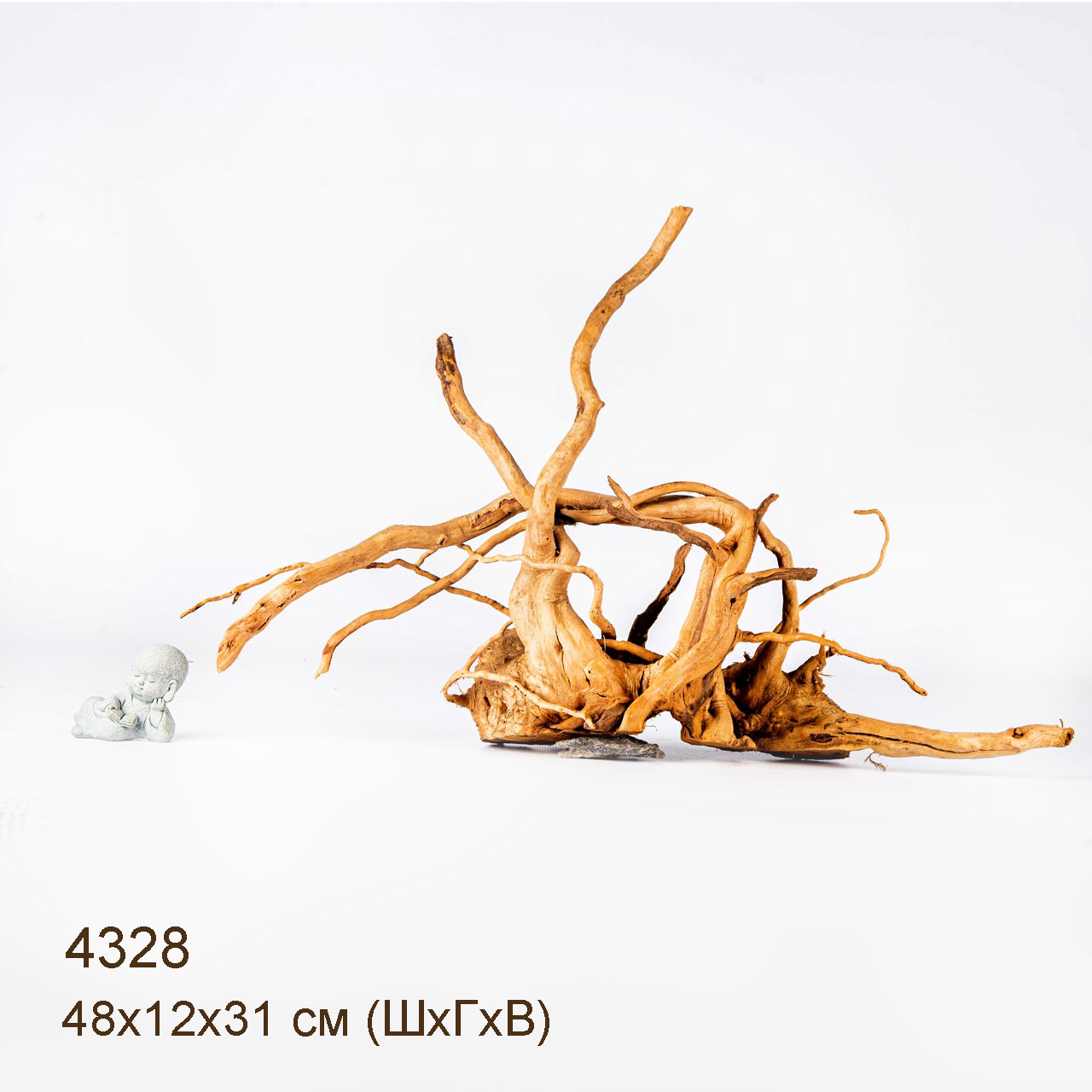 Коряга MASHA BLOOM Корень азалии L - 4328