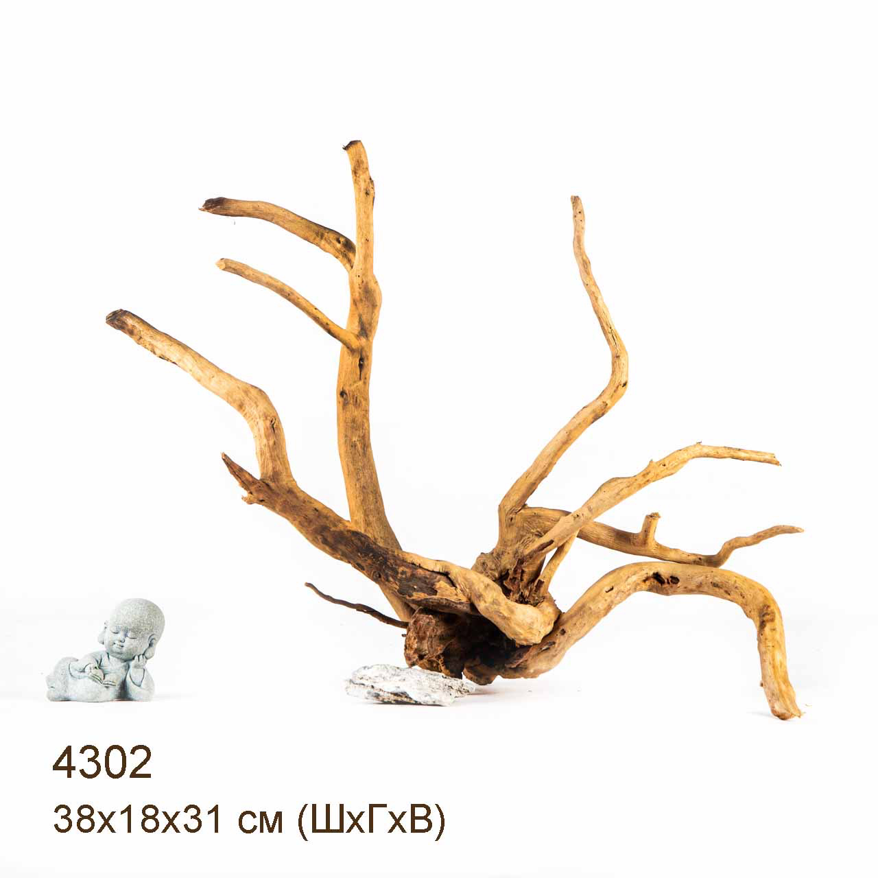 Коряга MASHA BLOOM Корень азалии L - 4302