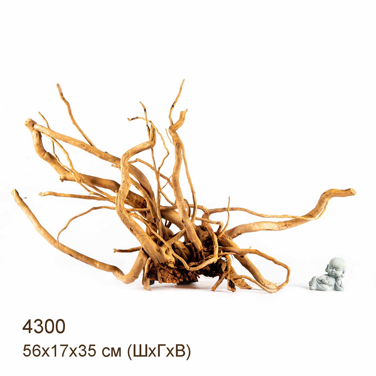 Коряга MASHA BLOOM Корень азалии L - 4300