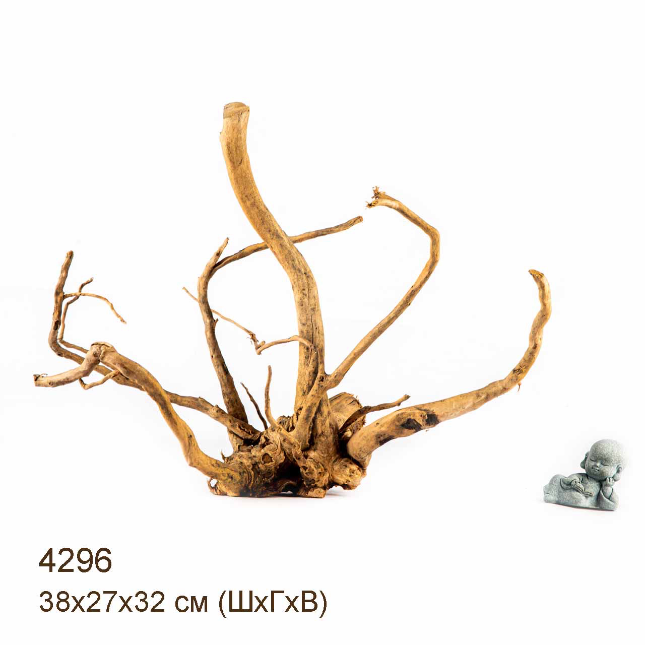 Коряга MASHA BLOOM Корень азалии L - 4296