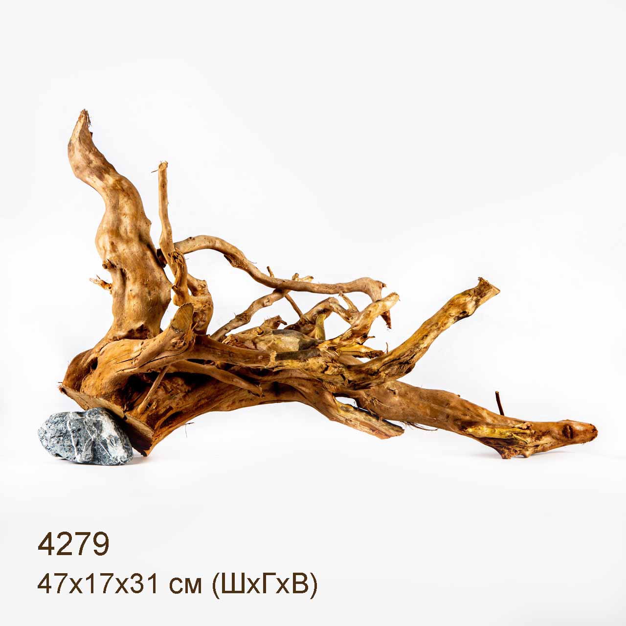 Коряга MASHA BLOOM Корень азалии L - 4279