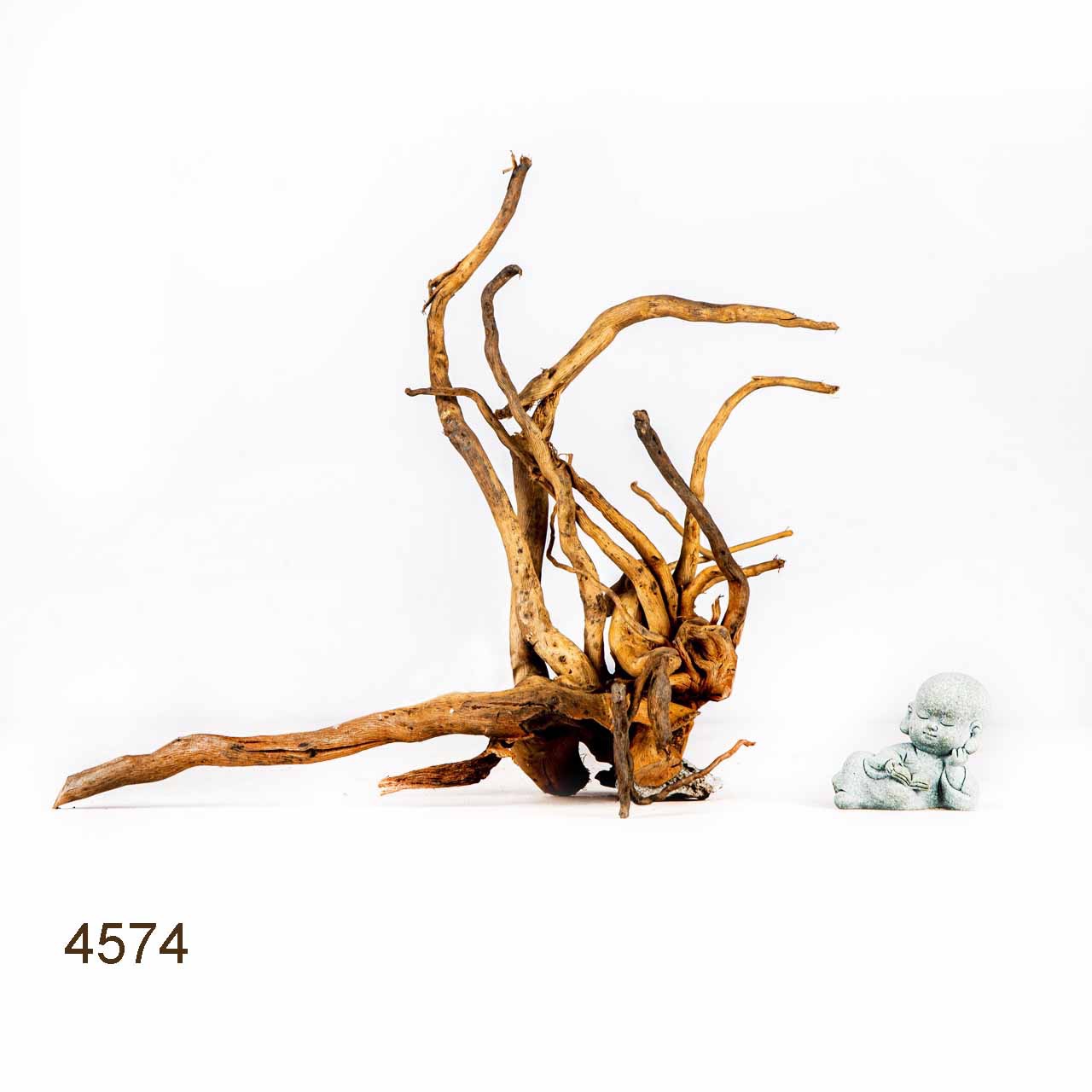 Коряга MASHA BLOOM Корень азалии M - 4574