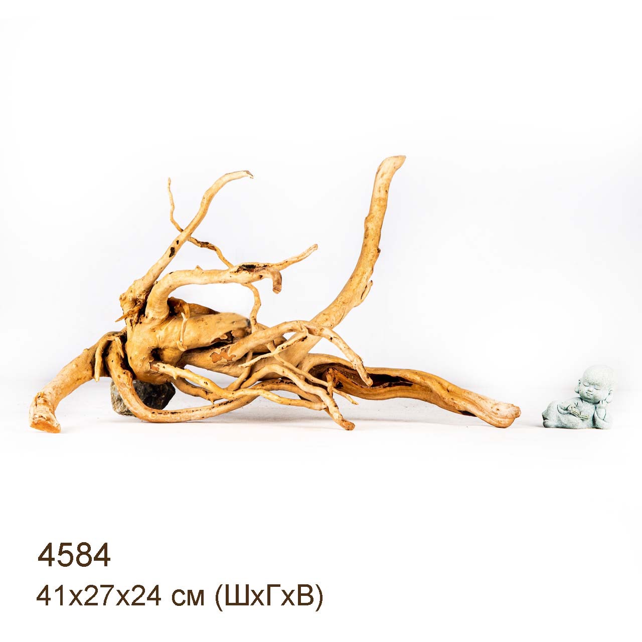 Коряга MASHA BLOOM Корень азалии M - 4584