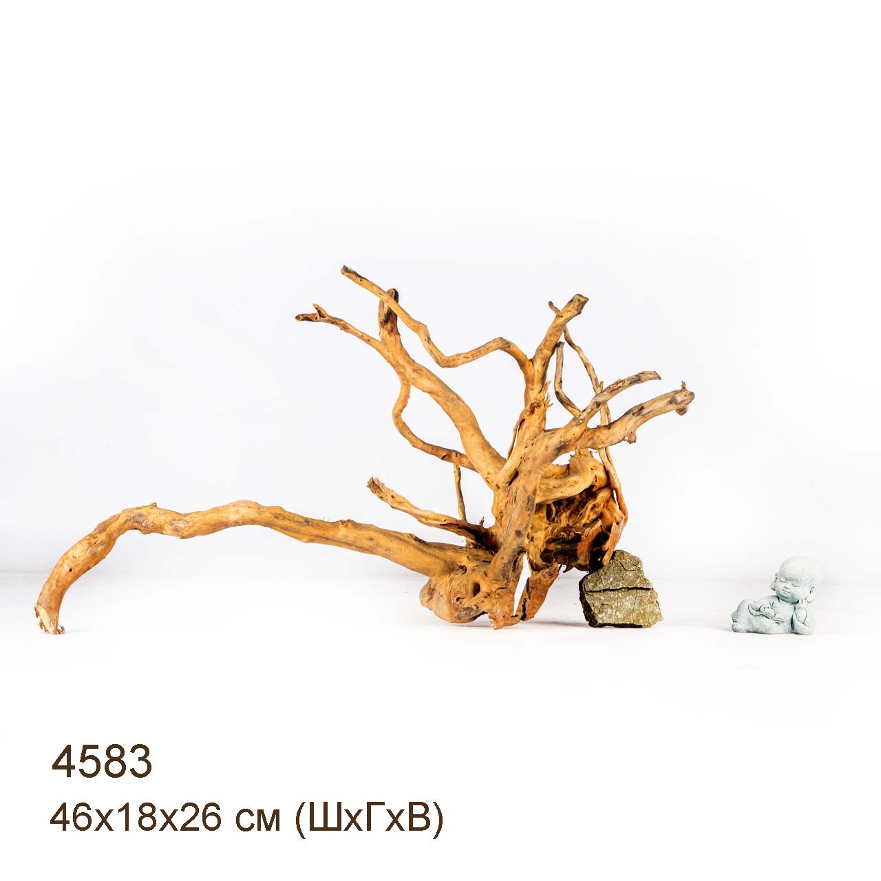 Коряга MASHA BLOOM Корень азалии M - 4583