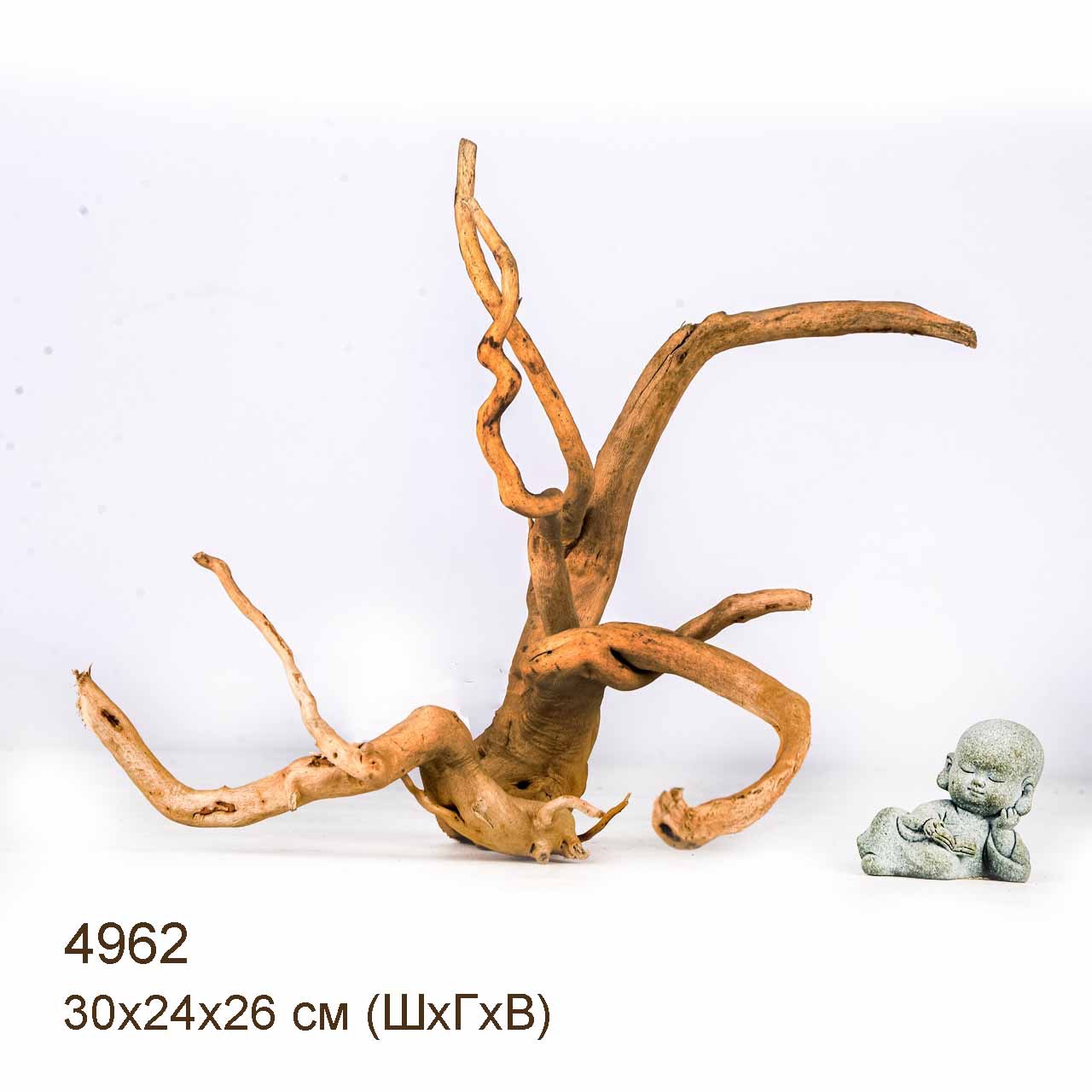 Коряга MASHA BLOOM Корень азалии S - 4962