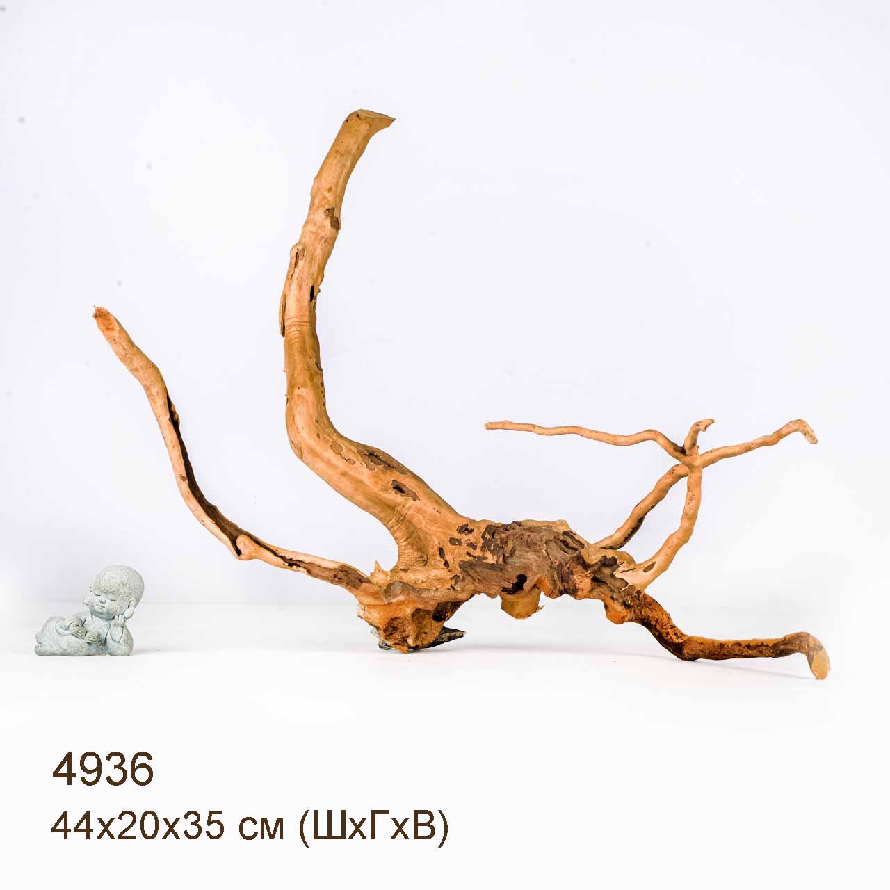 Коряга MASHA BLOOM Корень азалии S - 4936