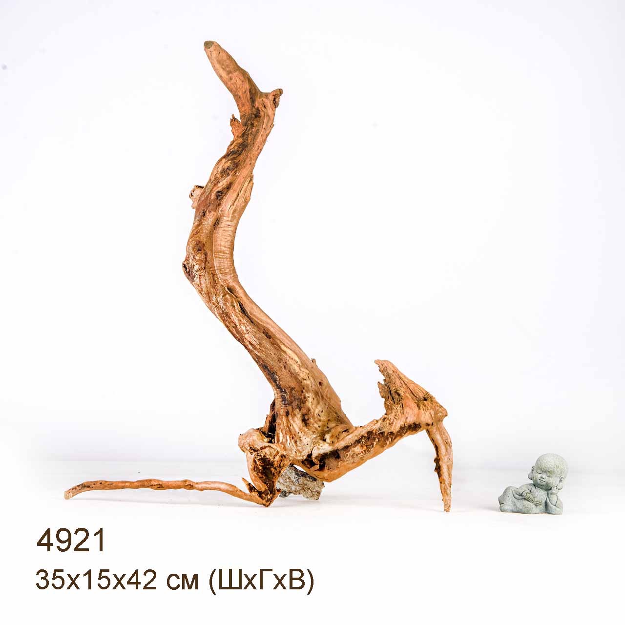 Коряга MASHA BLOOM Корень азалии S - 4921