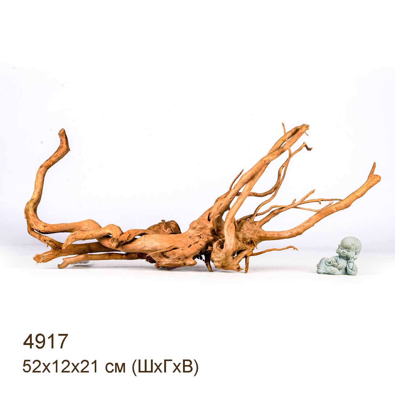 Коряга MASHA BLOOM Корень азалии S - 4917