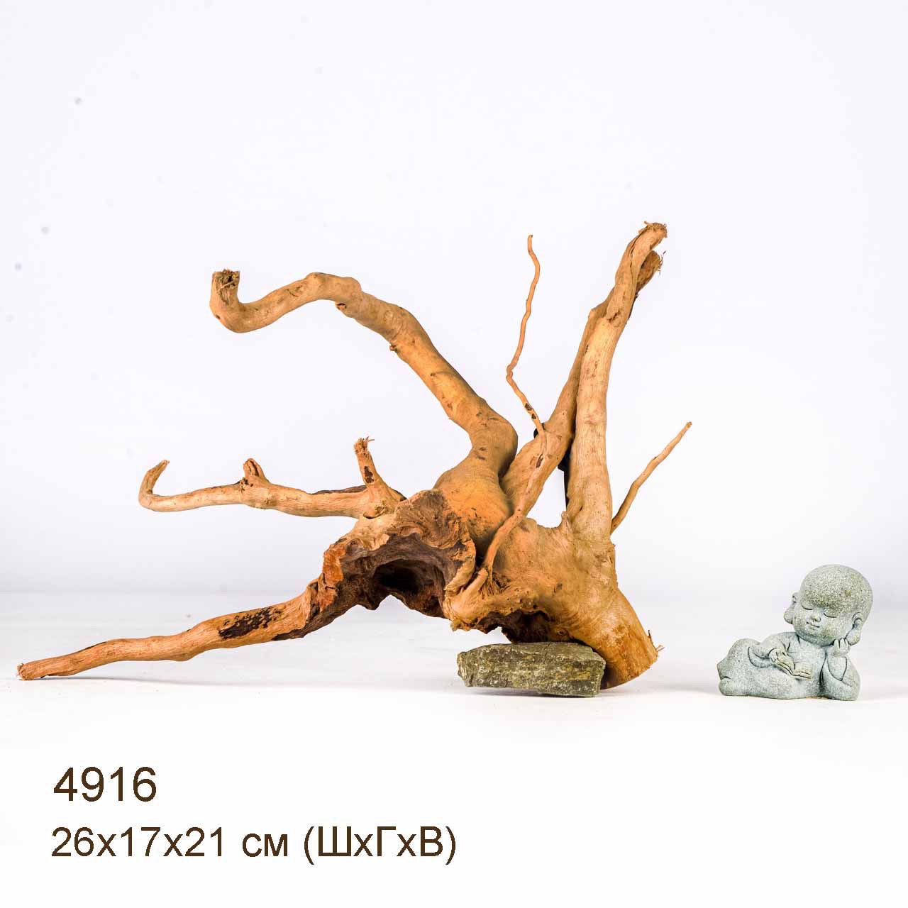 Коряга MASHA BLOOM Корень азалии S - 4916