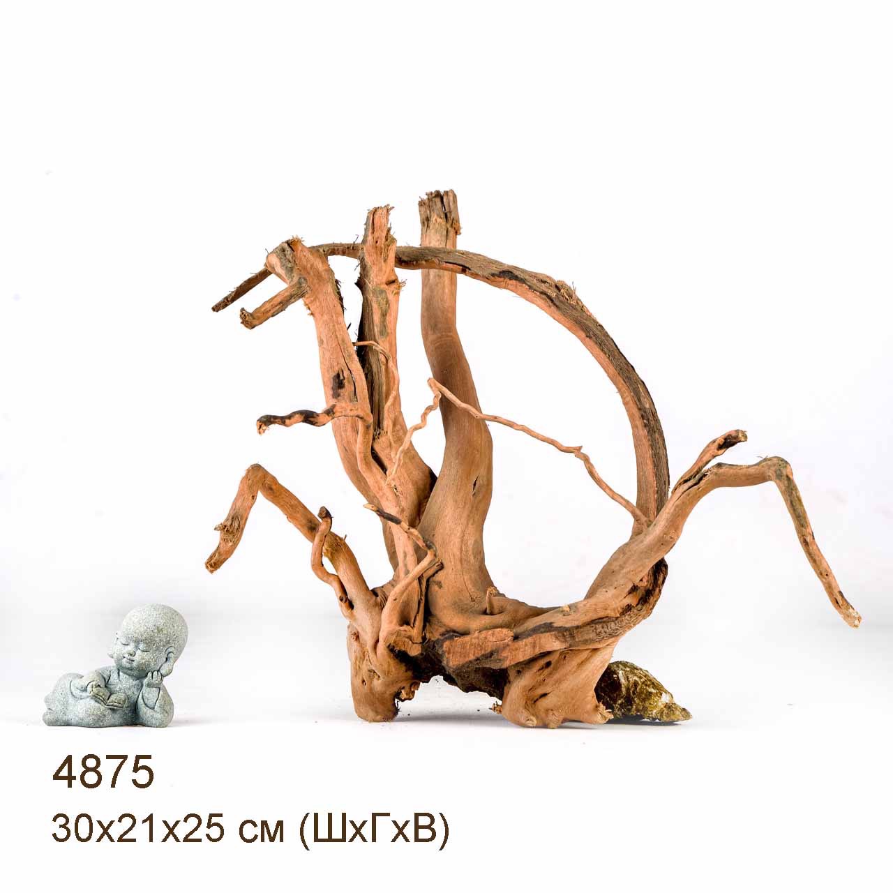 Коряга MASHA BLOOM Корень азалии S - 4875