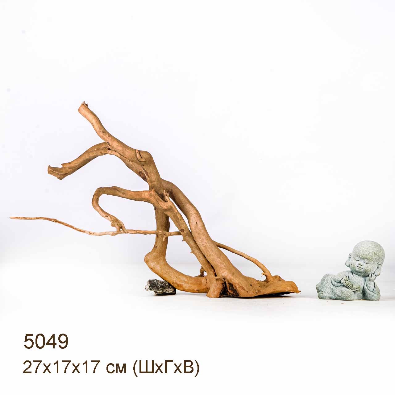 Коряга MASHA BLOOM Корень азалии S - 5049