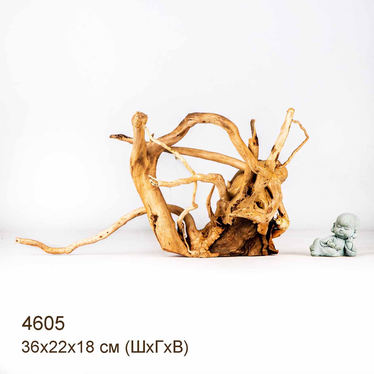 Коряга MASHA BLOOM Корень азалии M - 4605