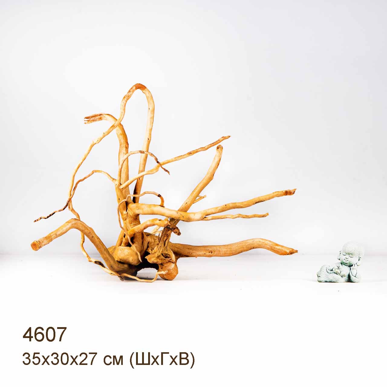 Коряга MASHA BLOOM Корень азалии M - 4607