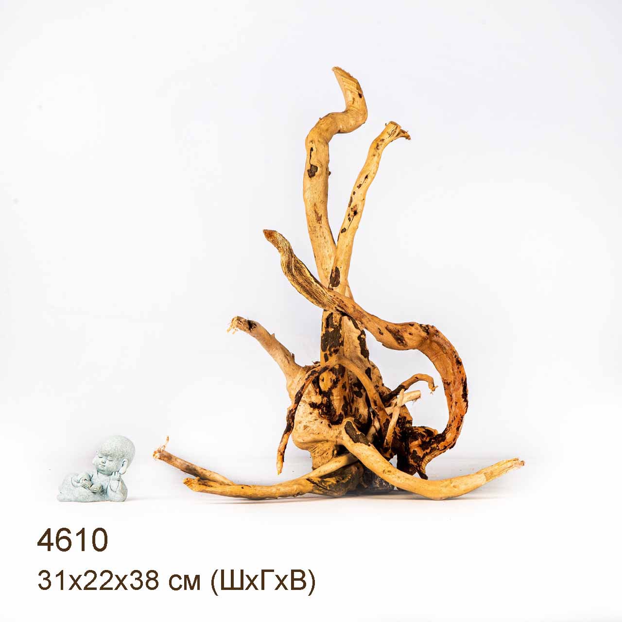 Коряга MASHA BLOOM Корень азалии M - 4610