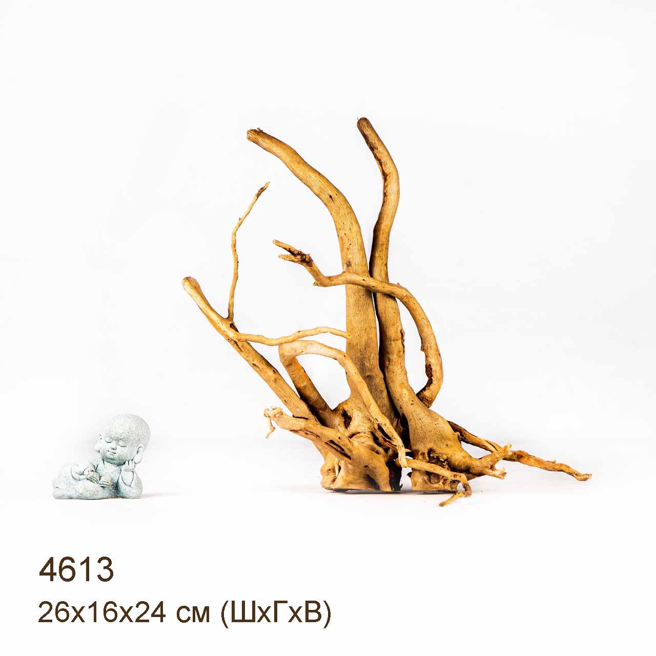 Коряга MASHA BLOOM Корень азалии M - 4613