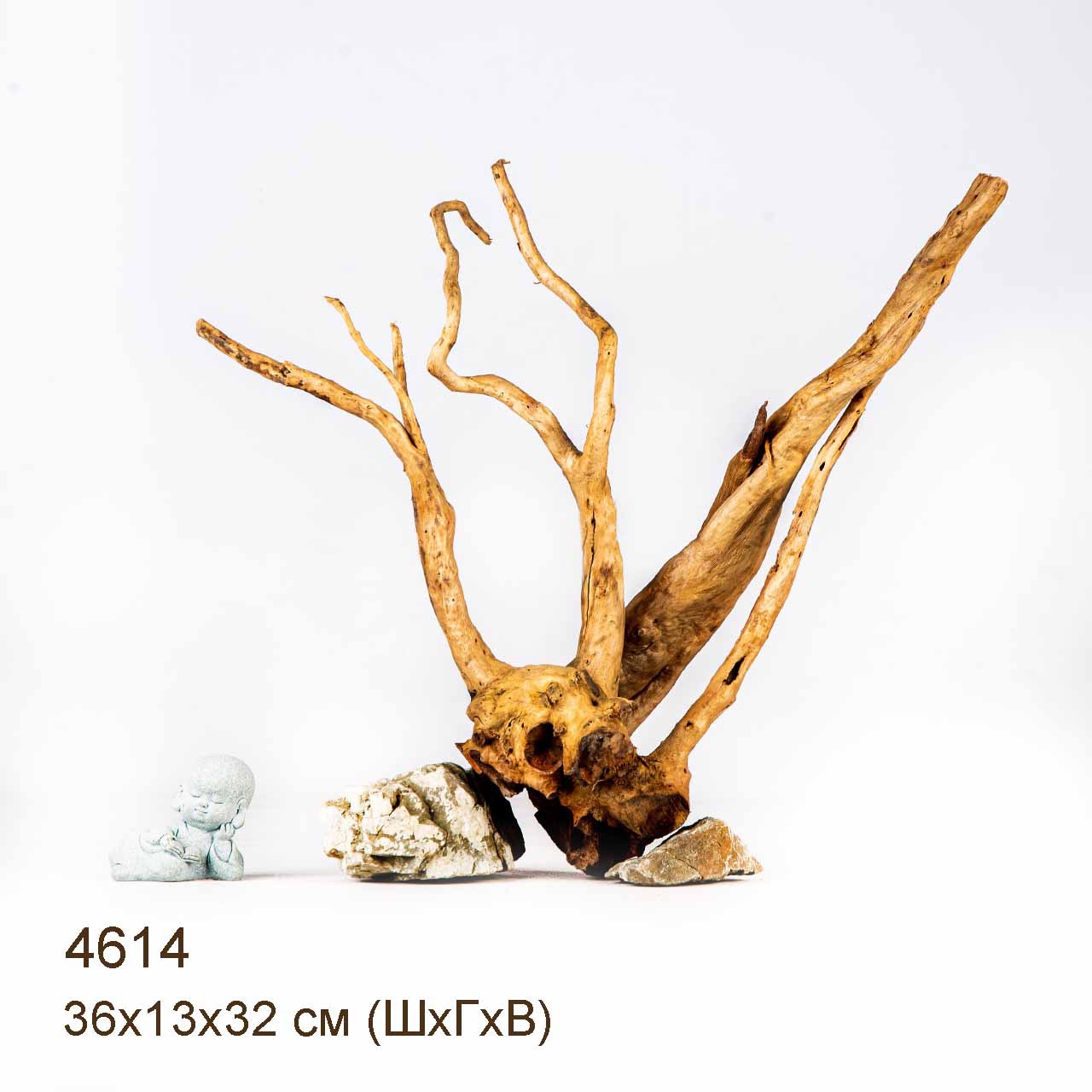 Коряга MASHA BLOOM Корень азалии M - 4614