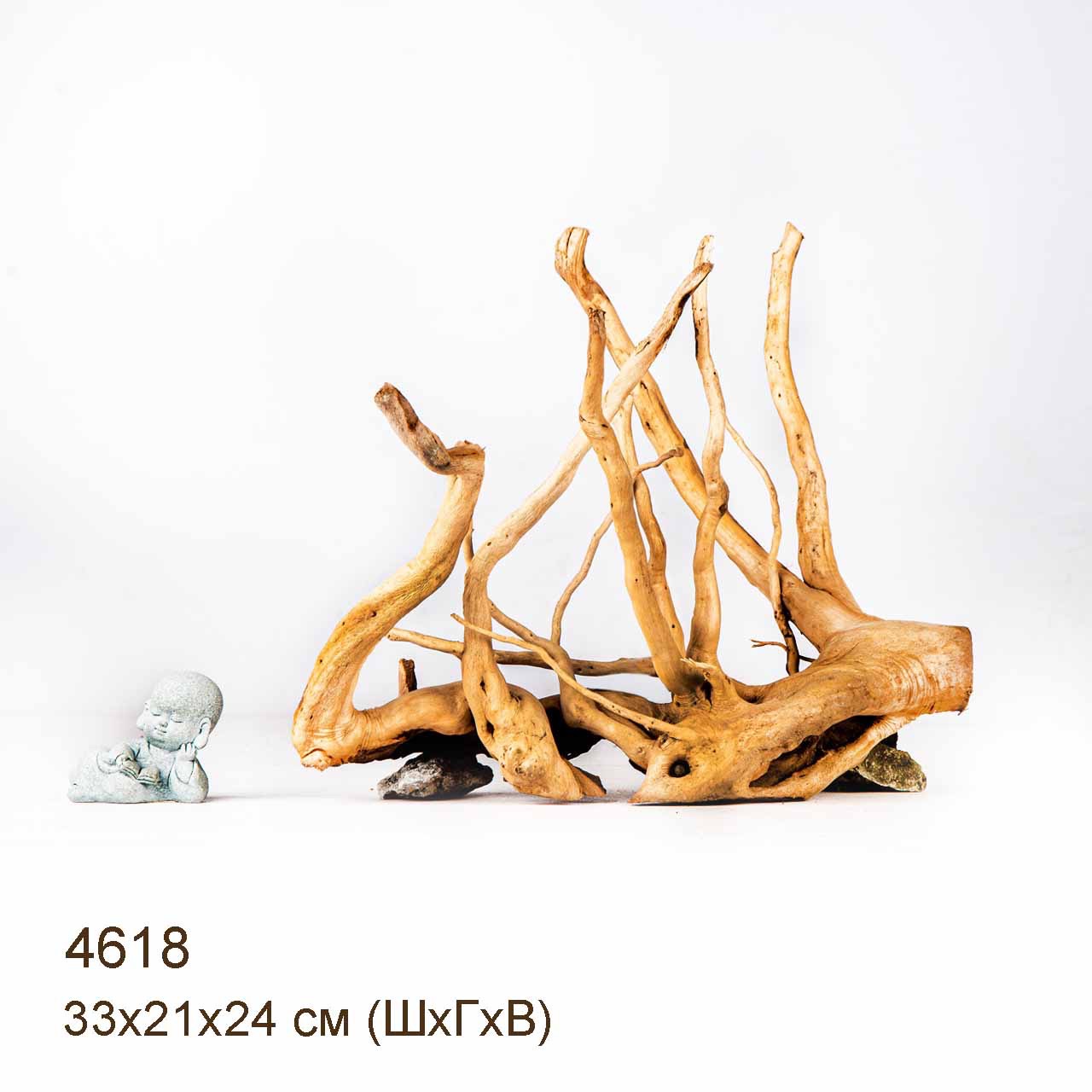 Коряга MASHA BLOOM Корень азалии M - 4618