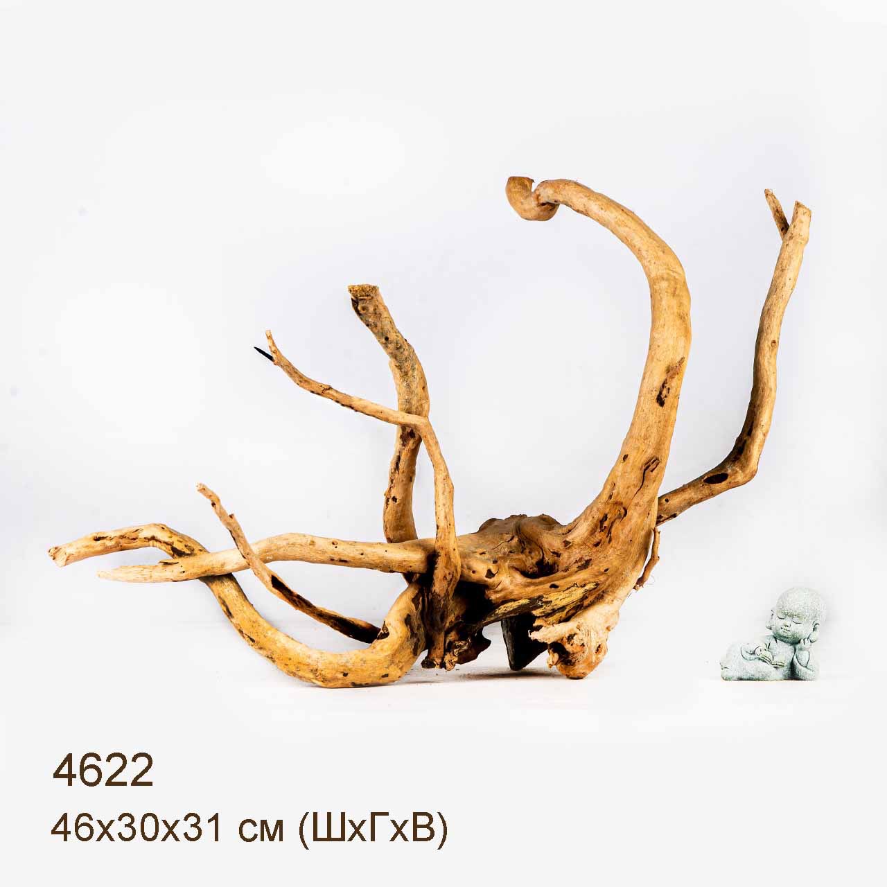 Коряга MASHA BLOOM Корень азалии M - 4622