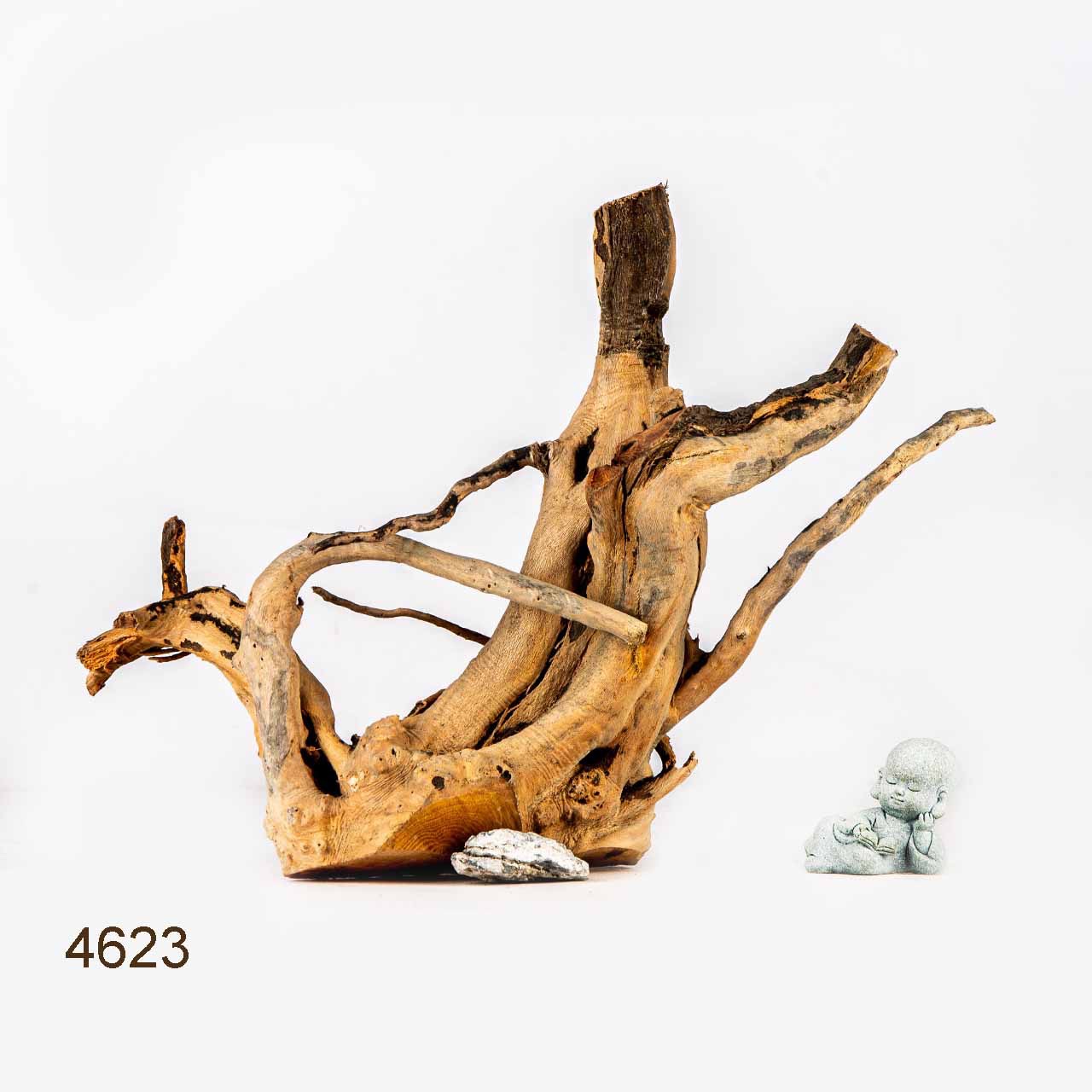 Коряга MASHA BLOOM Корень азалии M - 4623