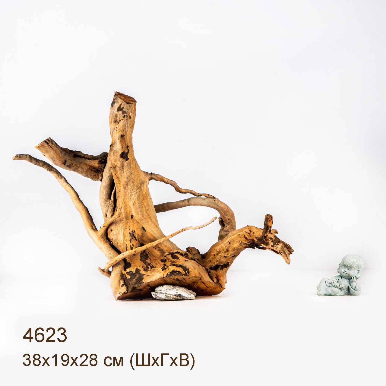 Коряга MASHA BLOOM Корень азалии M - 4623