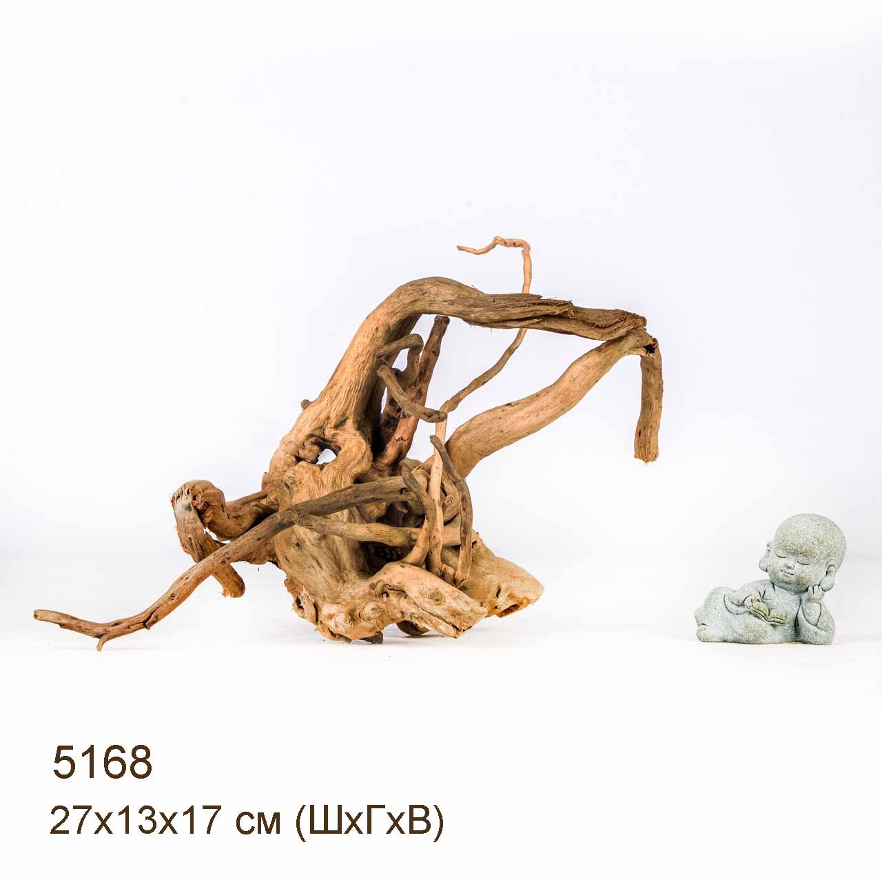 Коряга MASHA BLOOM Корень азалии XS - 5168