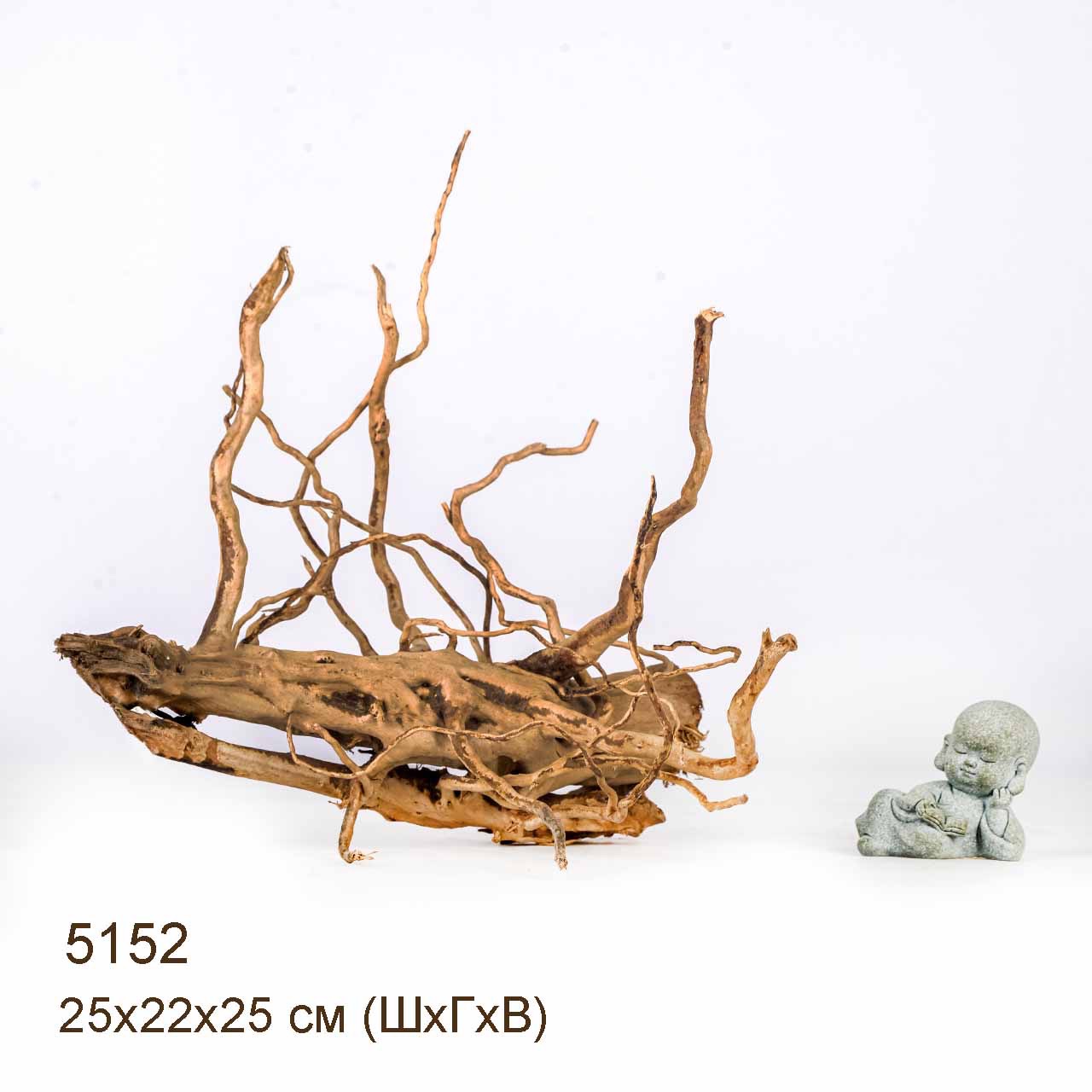 Коряга MASHA BLOOM Корень азалии XS - 5152