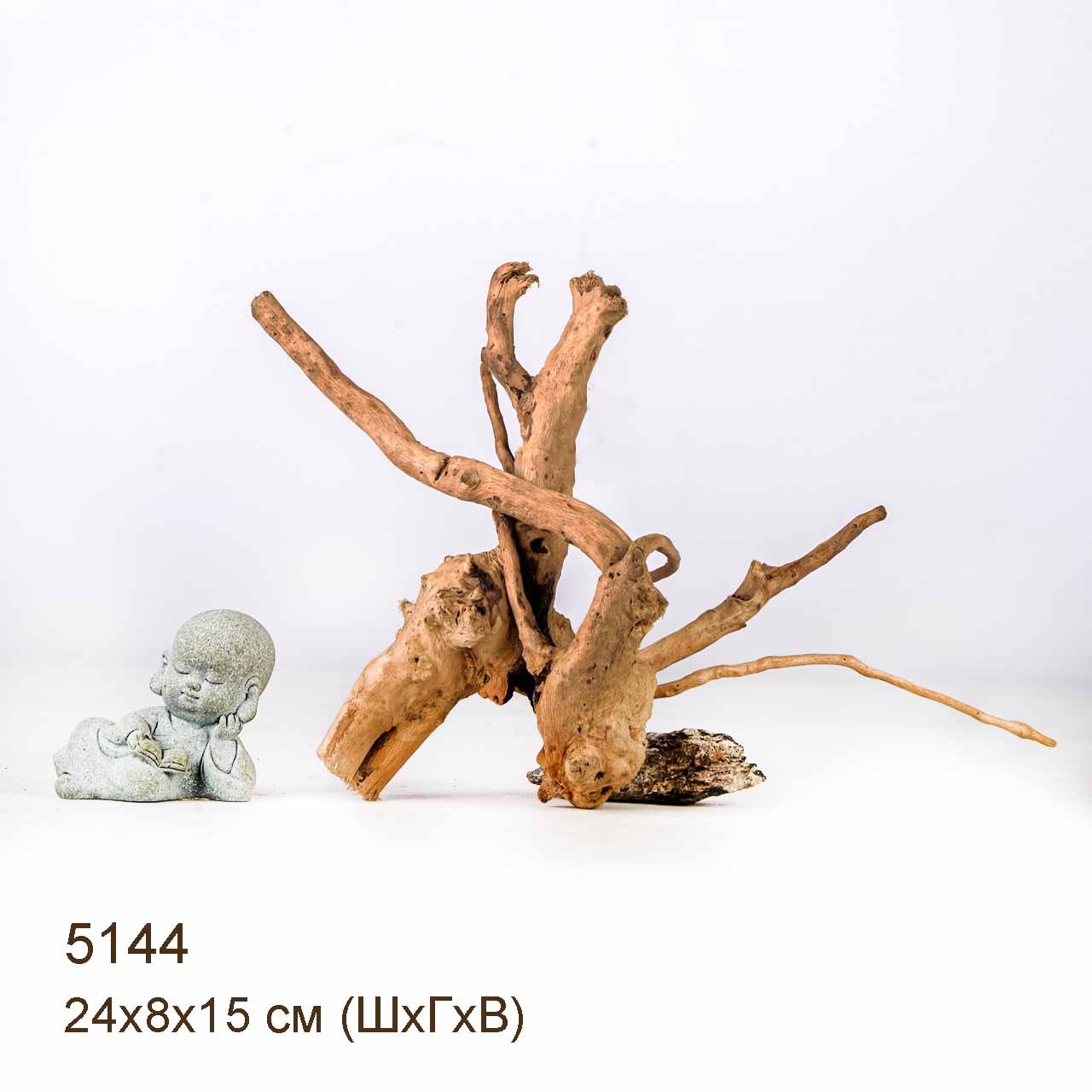 Коряга MASHA BLOOM Корень азалии XS - 5144