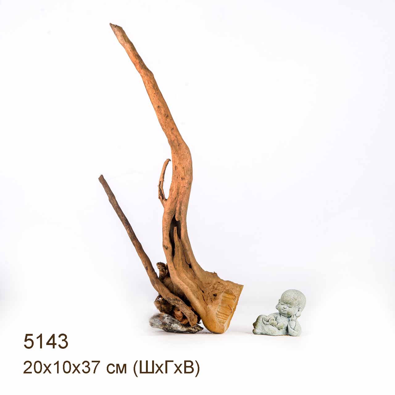 Коряга MASHA BLOOM Корень азалии XS - 5143