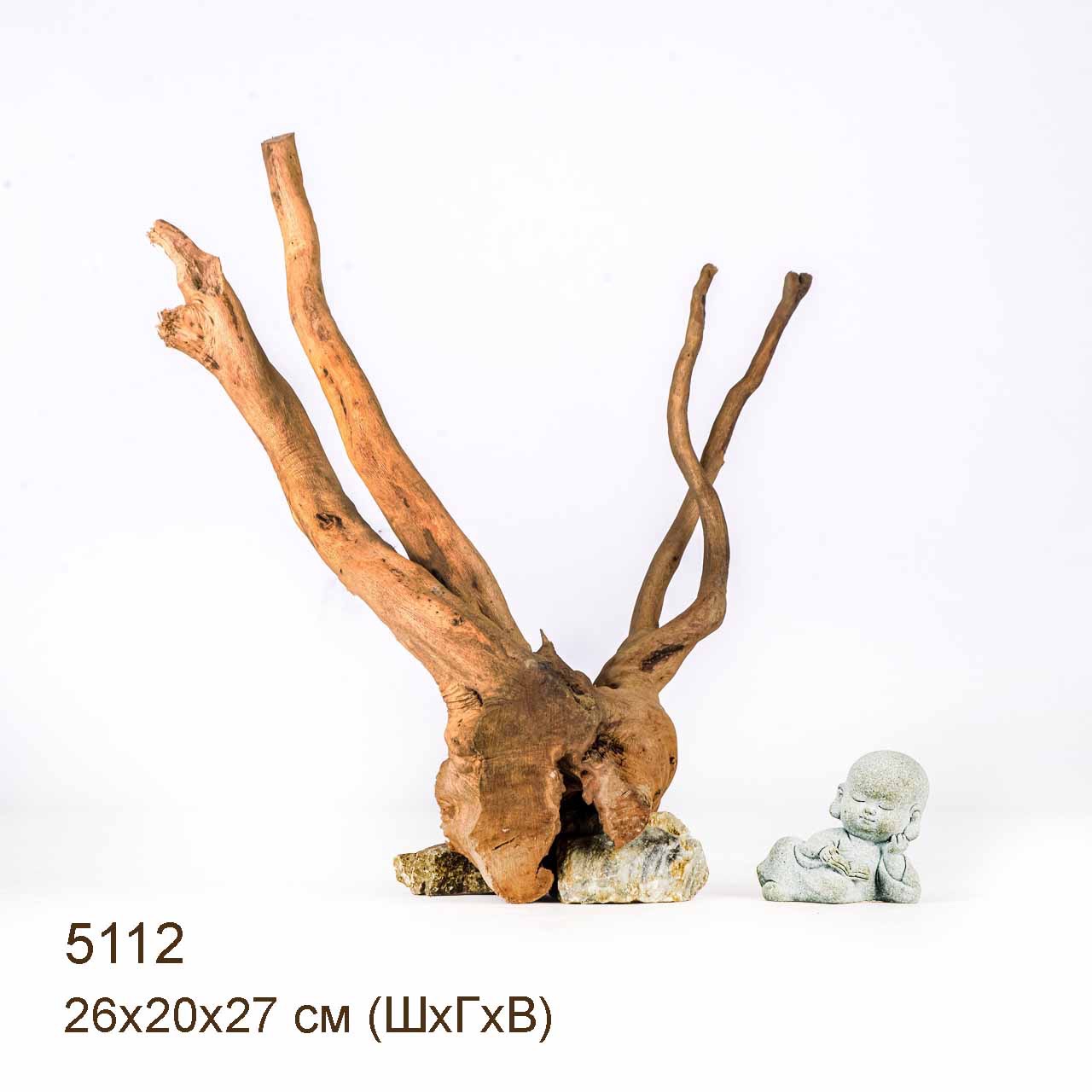 Коряга MASHA BLOOM Корень азалии XS - 5112