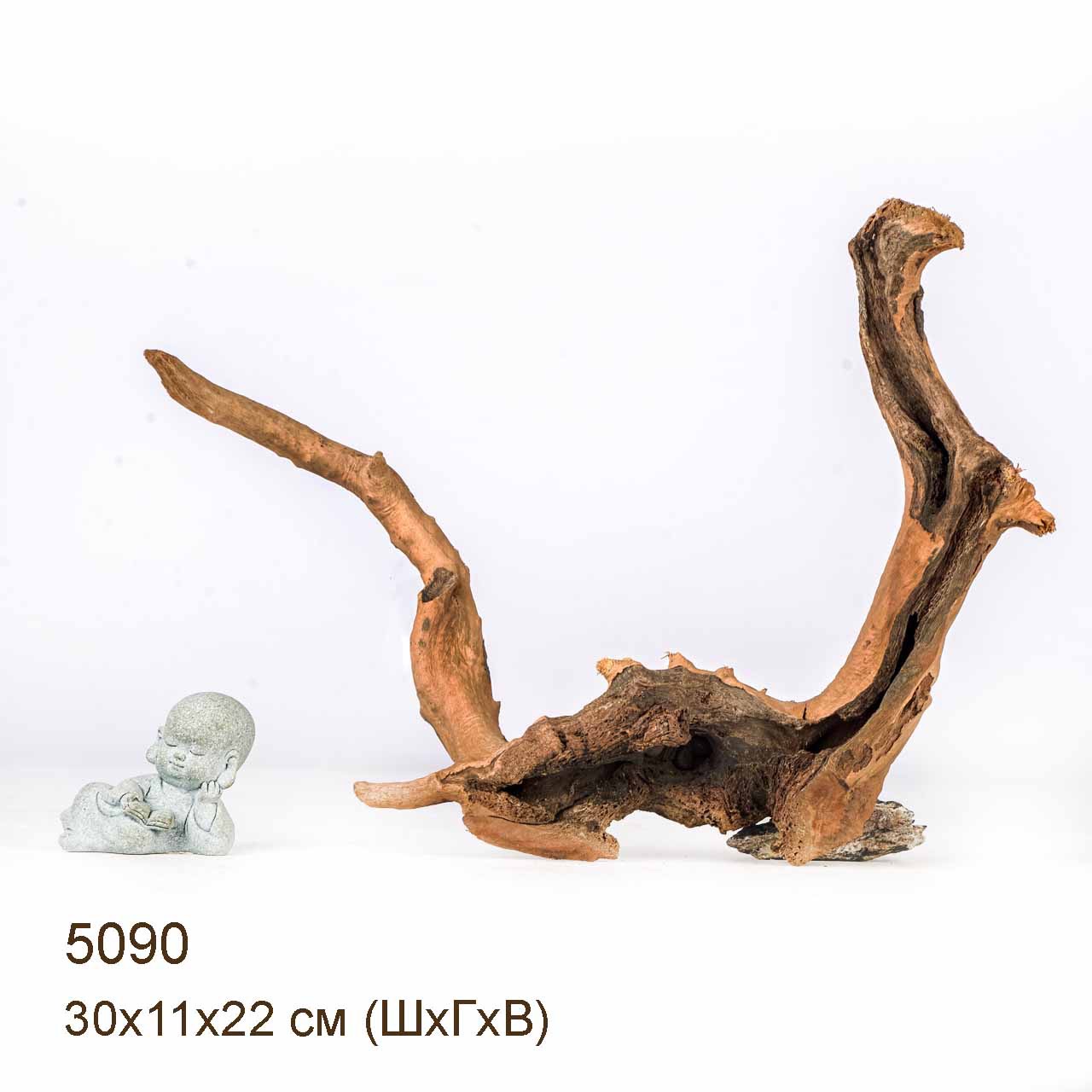 Коряга MASHA BLOOM Корень азалии XS - 5090