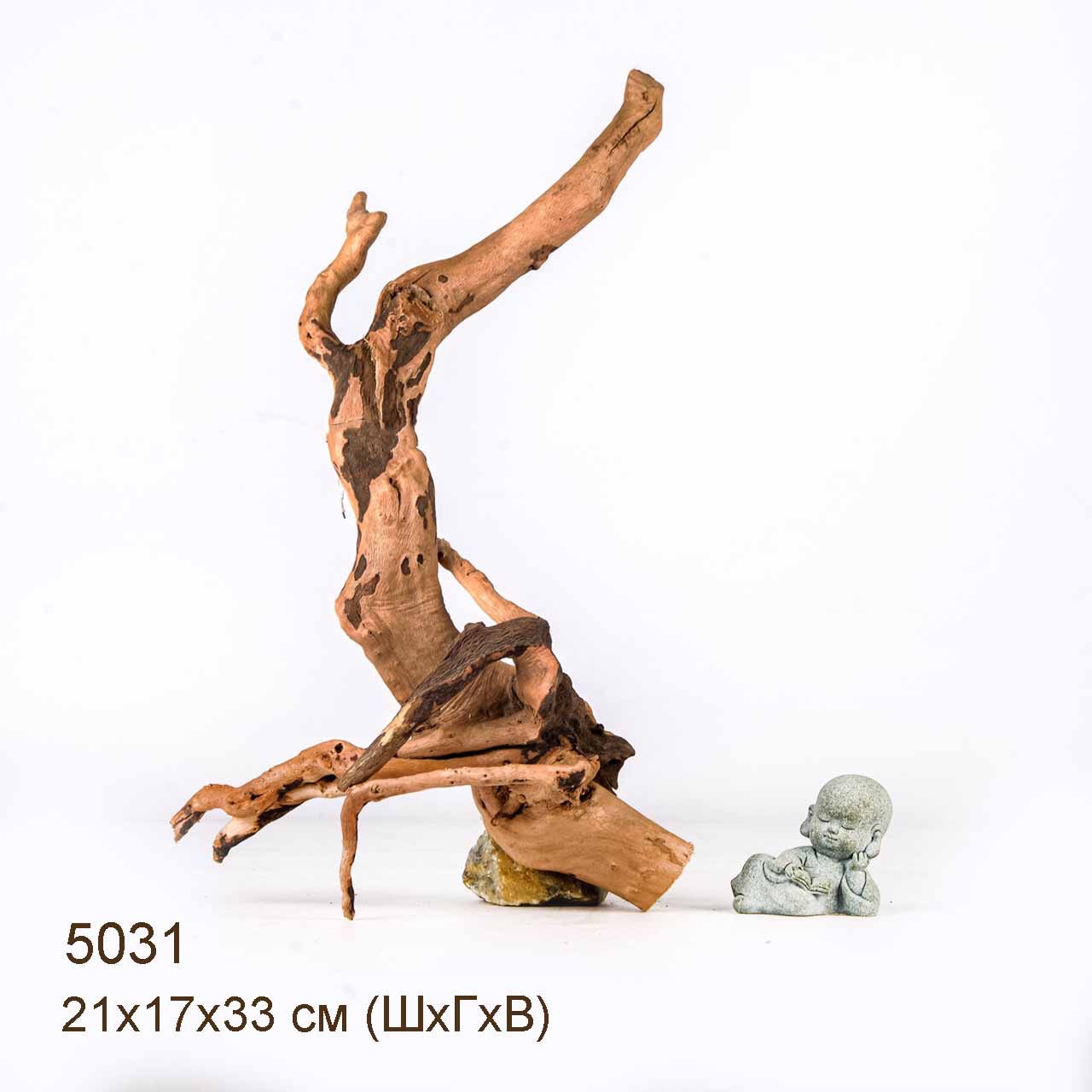 Коряга MASHA BLOOM Корень азалии S - 5031