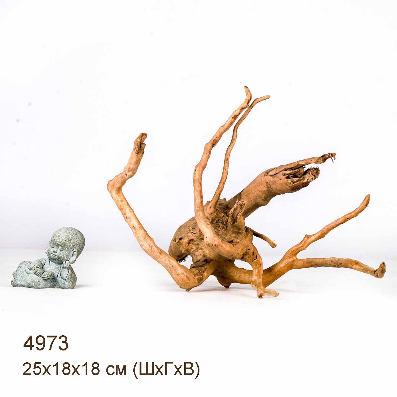 Коряга MASHA BLOOM Корень азалии S - 4973