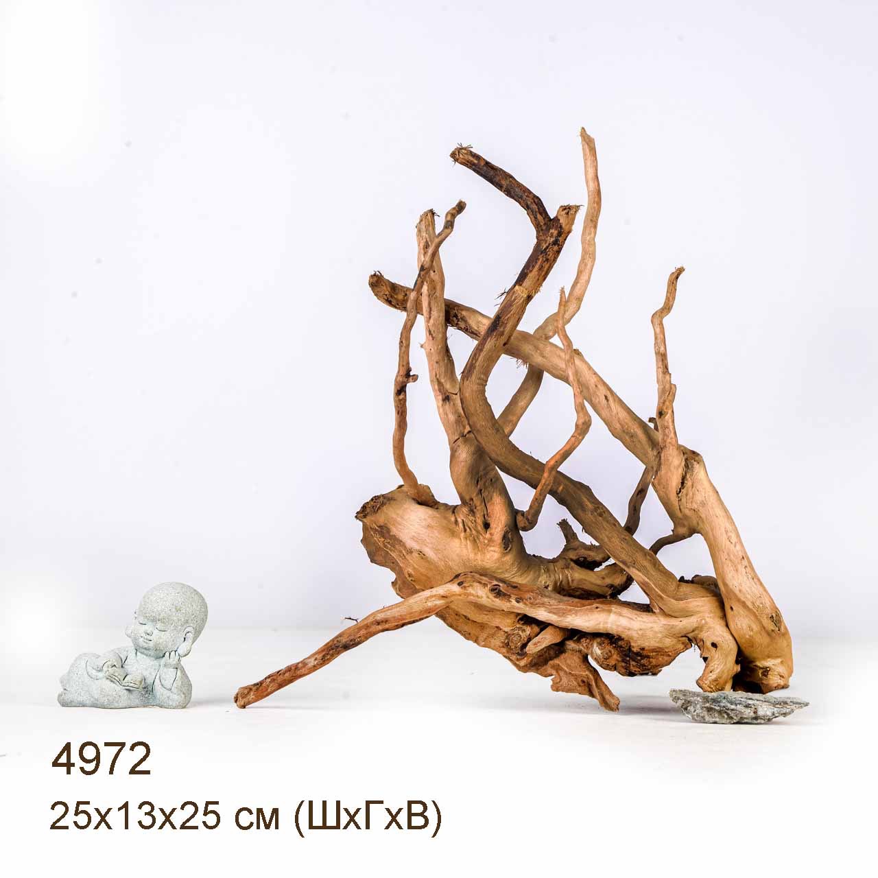 Коряга MASHA BLOOM Корень азалии S - 4972