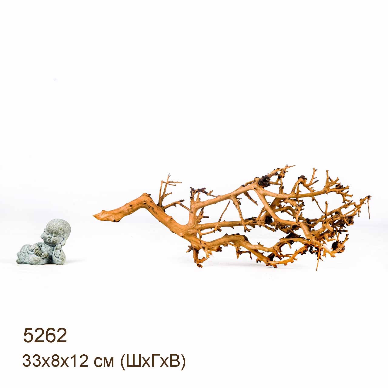 Коряга MASHA BLOOM Пустынная 5262