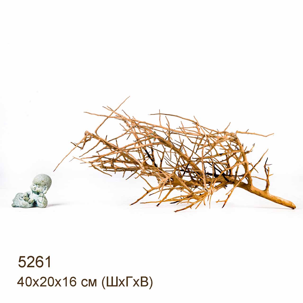 Коряга MASHA BLOOM Пустынная 5261